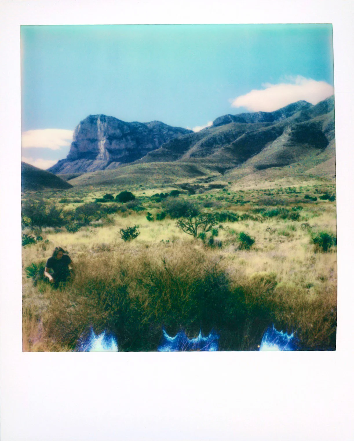 Screen Shot 2022-02-04 at 8.18.11 PM.jpg