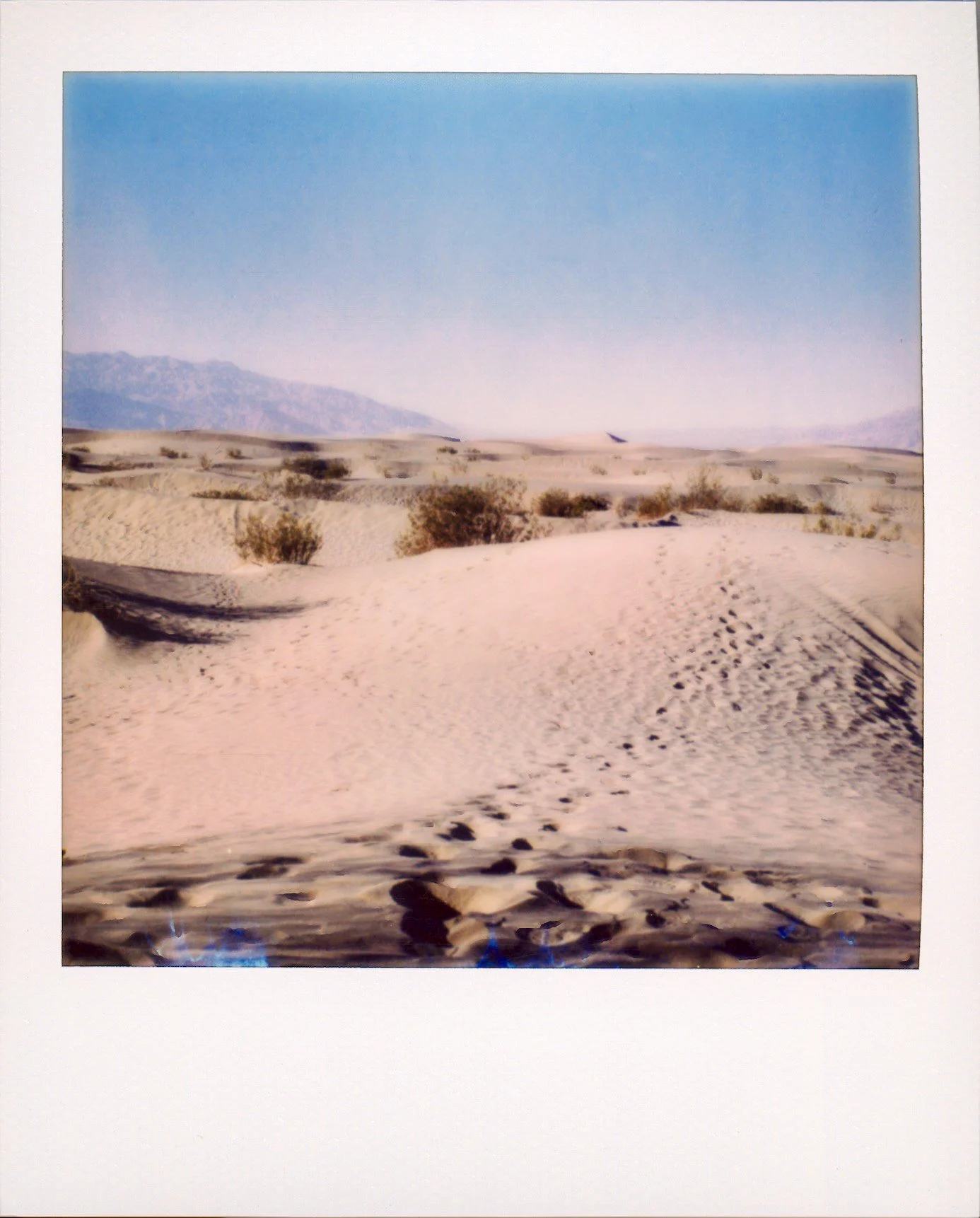 Screen Shot 2022-02-04 at 8.28.41 PM.jpg