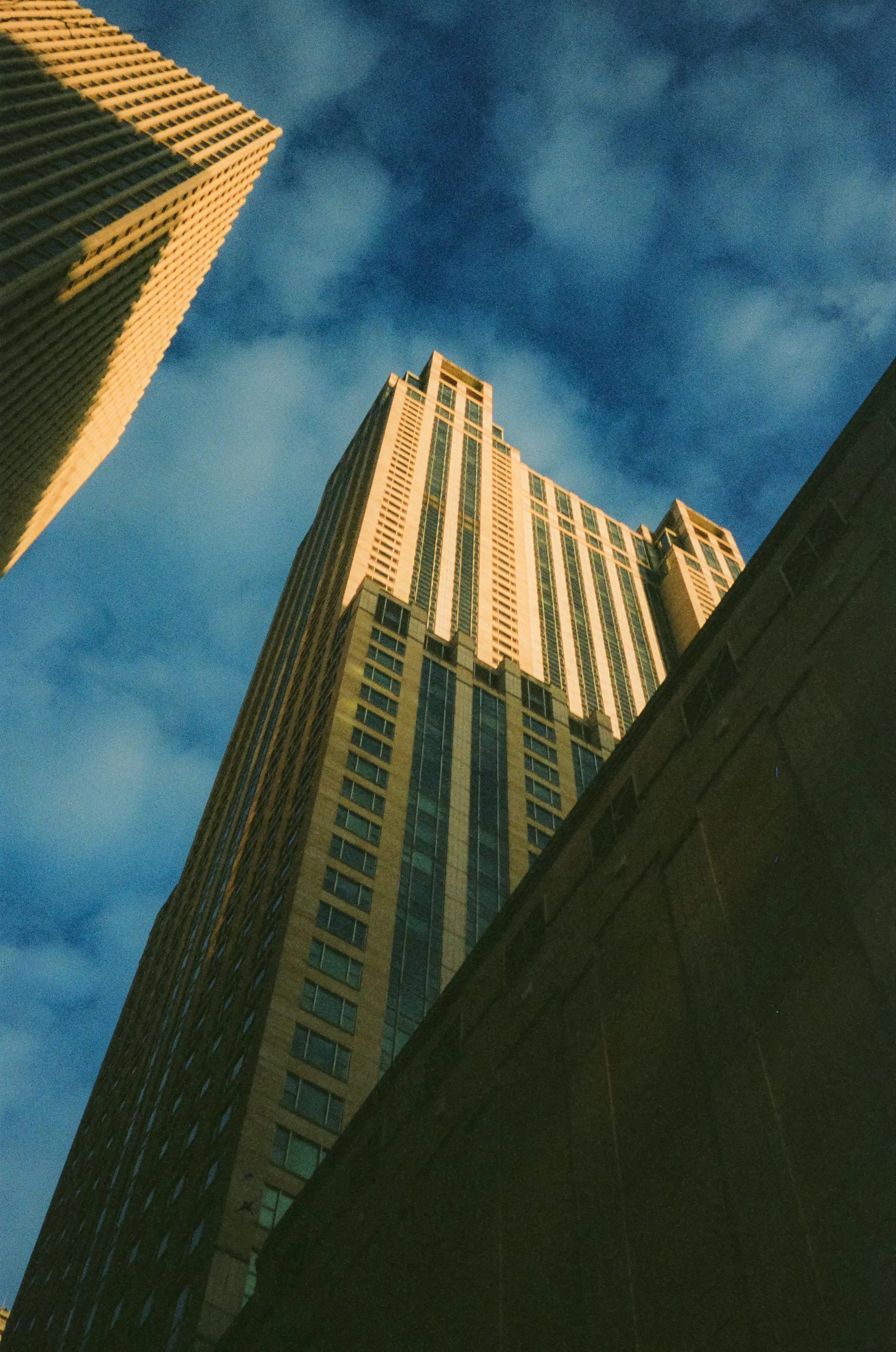 35mm with Olympus Trip 35mm Camera.jpeg