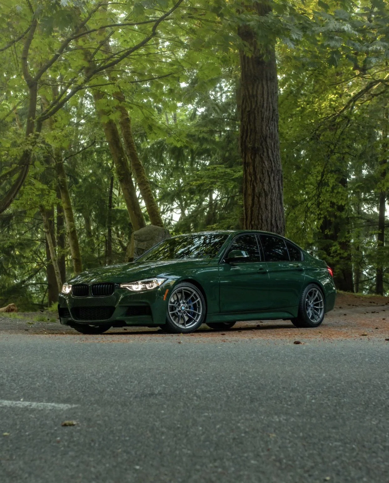 A dark green BMW sedan parked on the side of a road in a forested area with tall trees and green foliage.