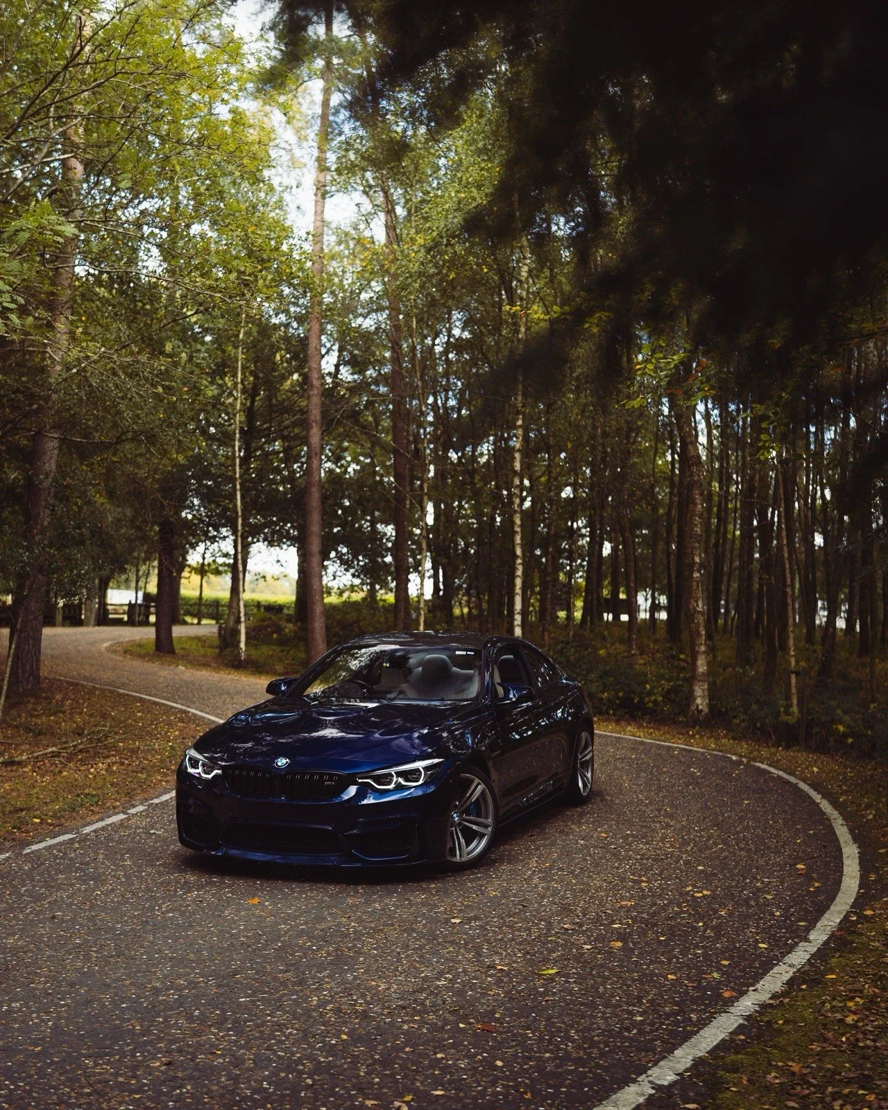 A black sports car parked on a winding gravel road surrounded by trees in a forest setting.