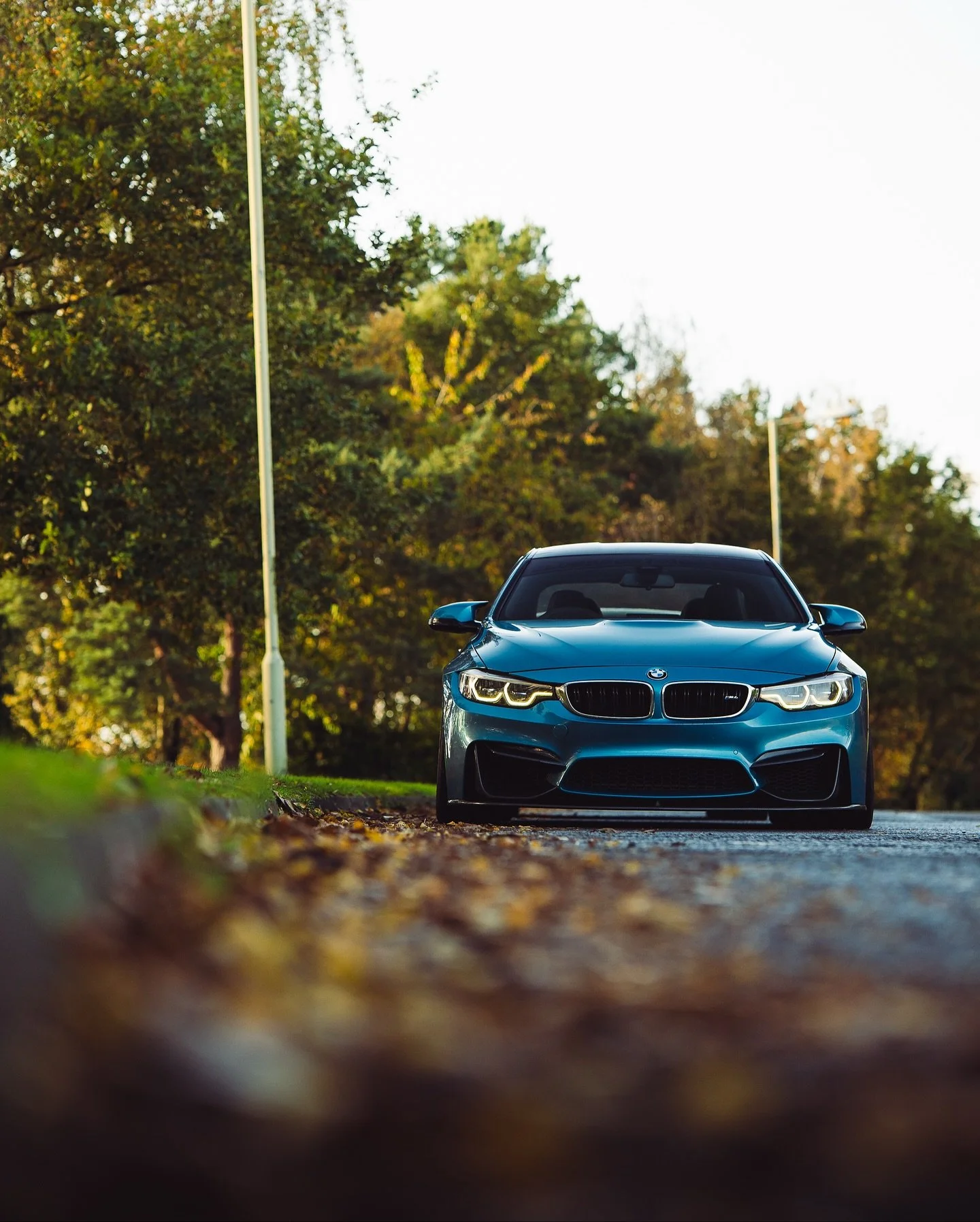 A blue sports car, possibly a BMW, parked on a tree-lined street with fallen autumn leaves in the foreground and street lamps on either side.
