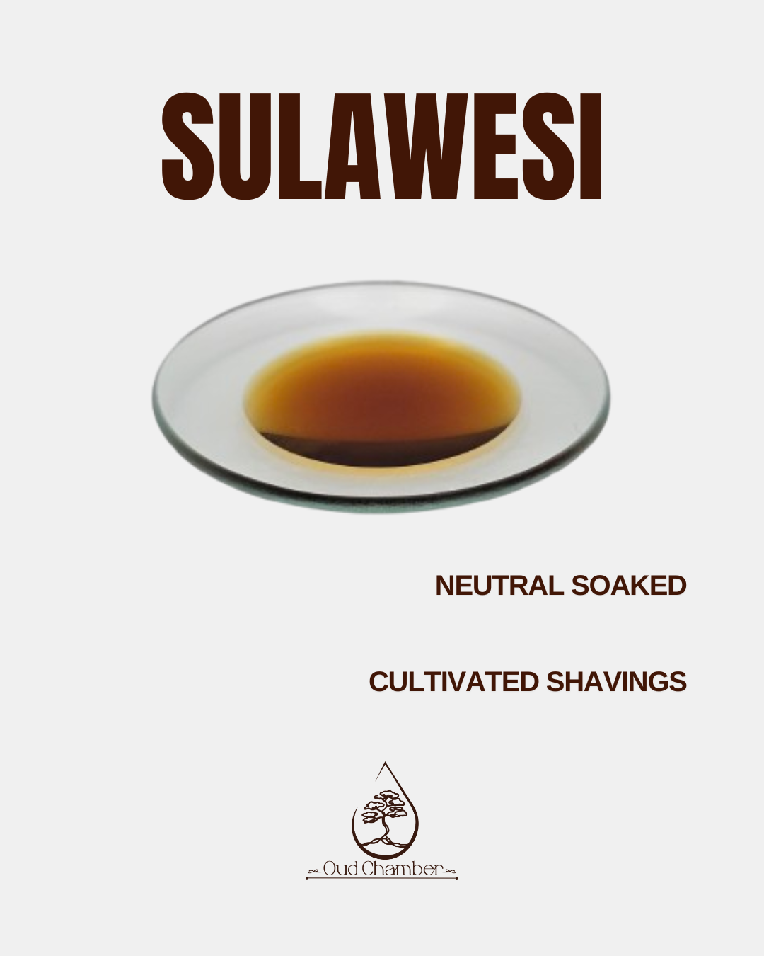 Sulawesi.png