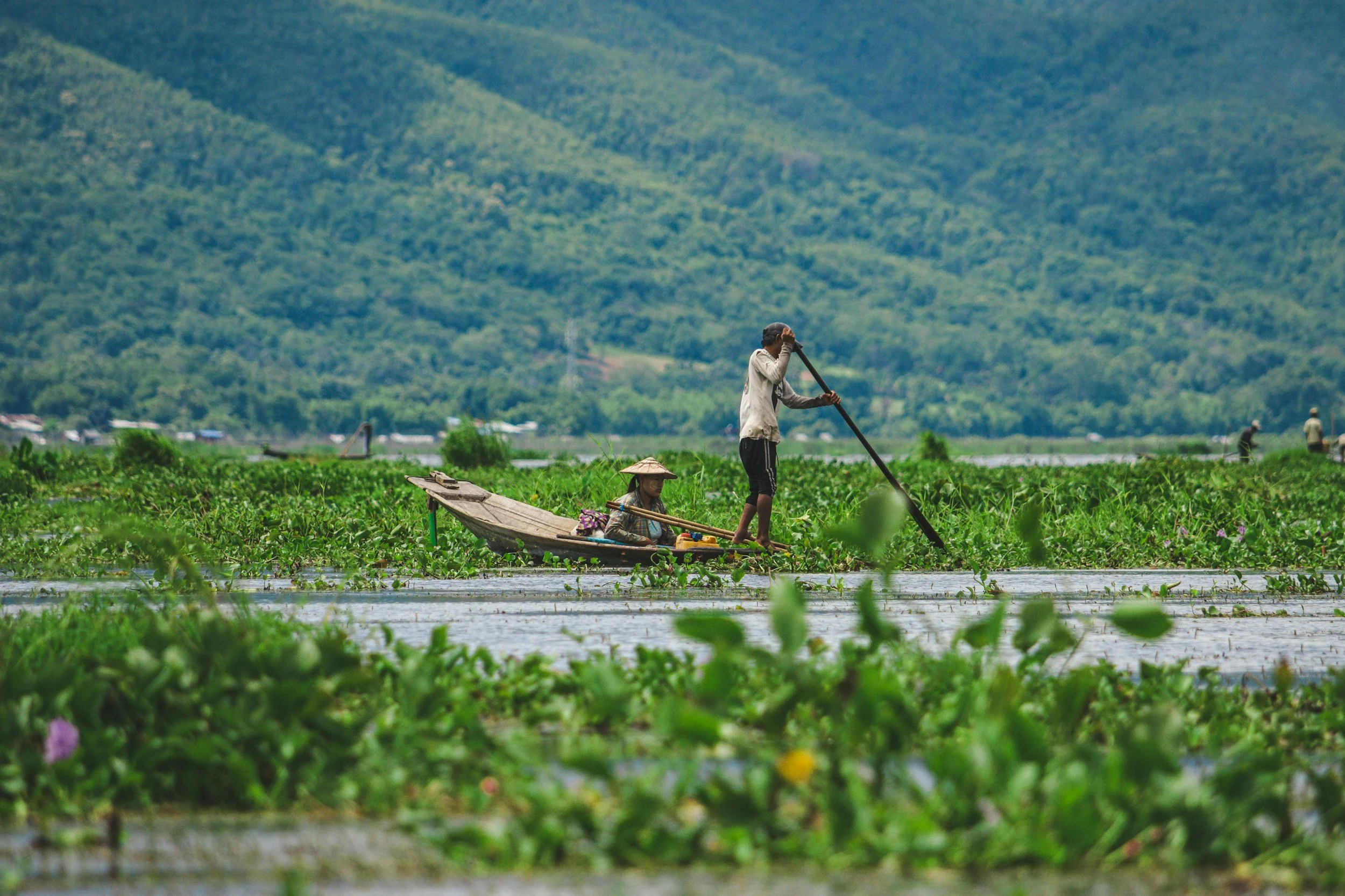Two people navigating a boat through a waterway surrounded by green aquatic plants, with green mountains in the background.