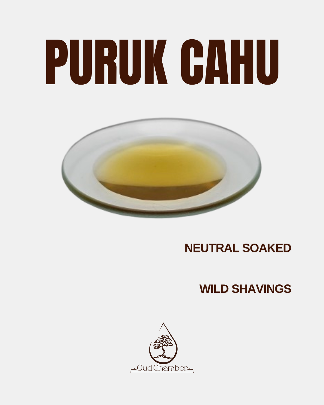 Puruk Cahu.png