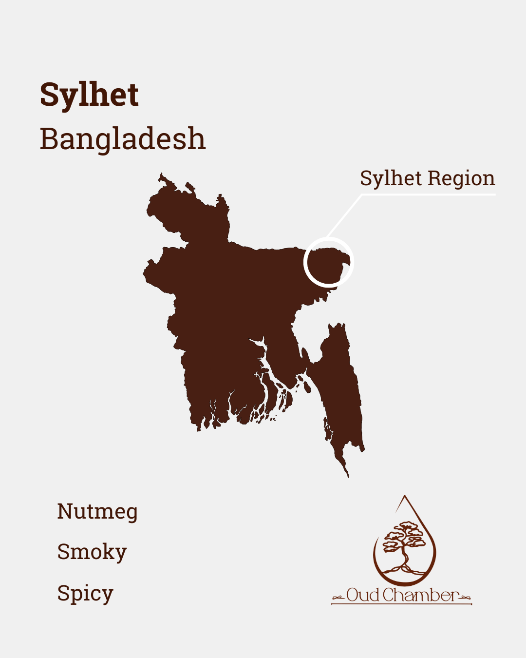 2. Oil Information.png