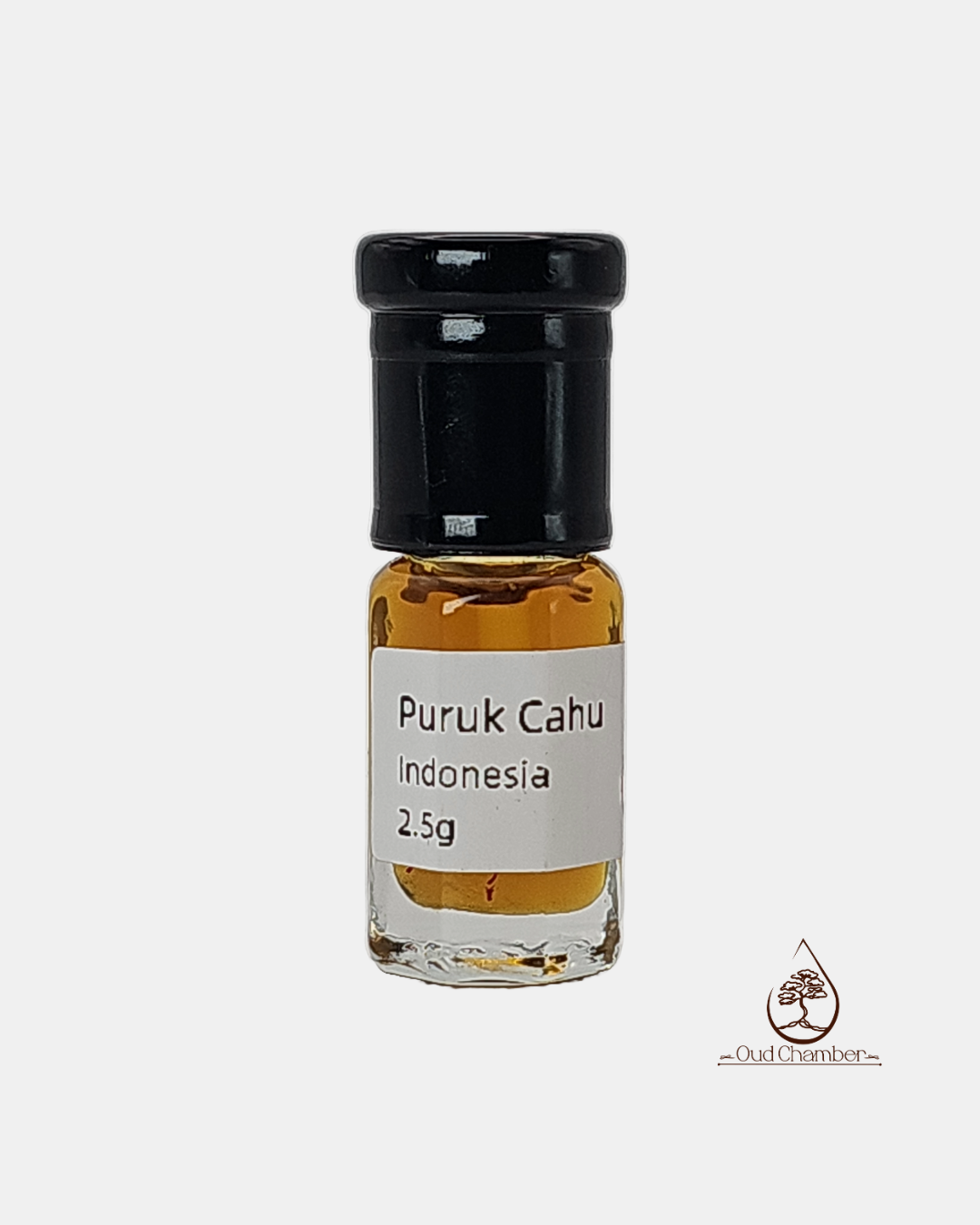 Puruk Cahu Oud 2023