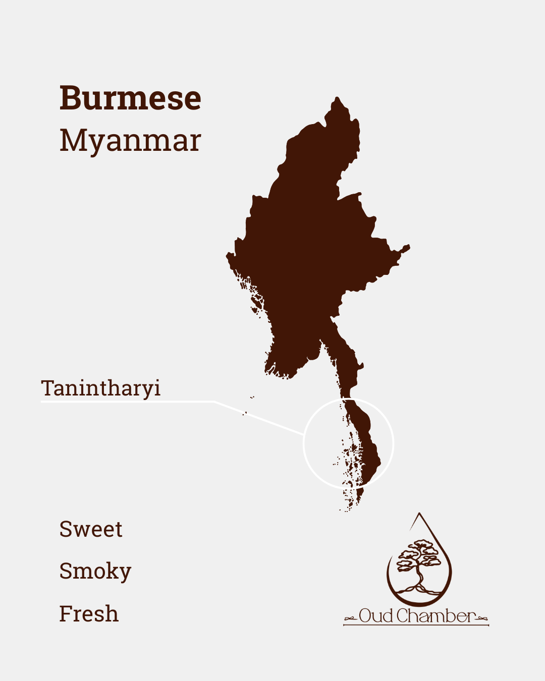 Burmese.png