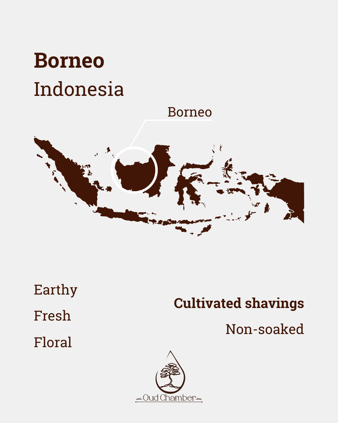 Borneo (1).png