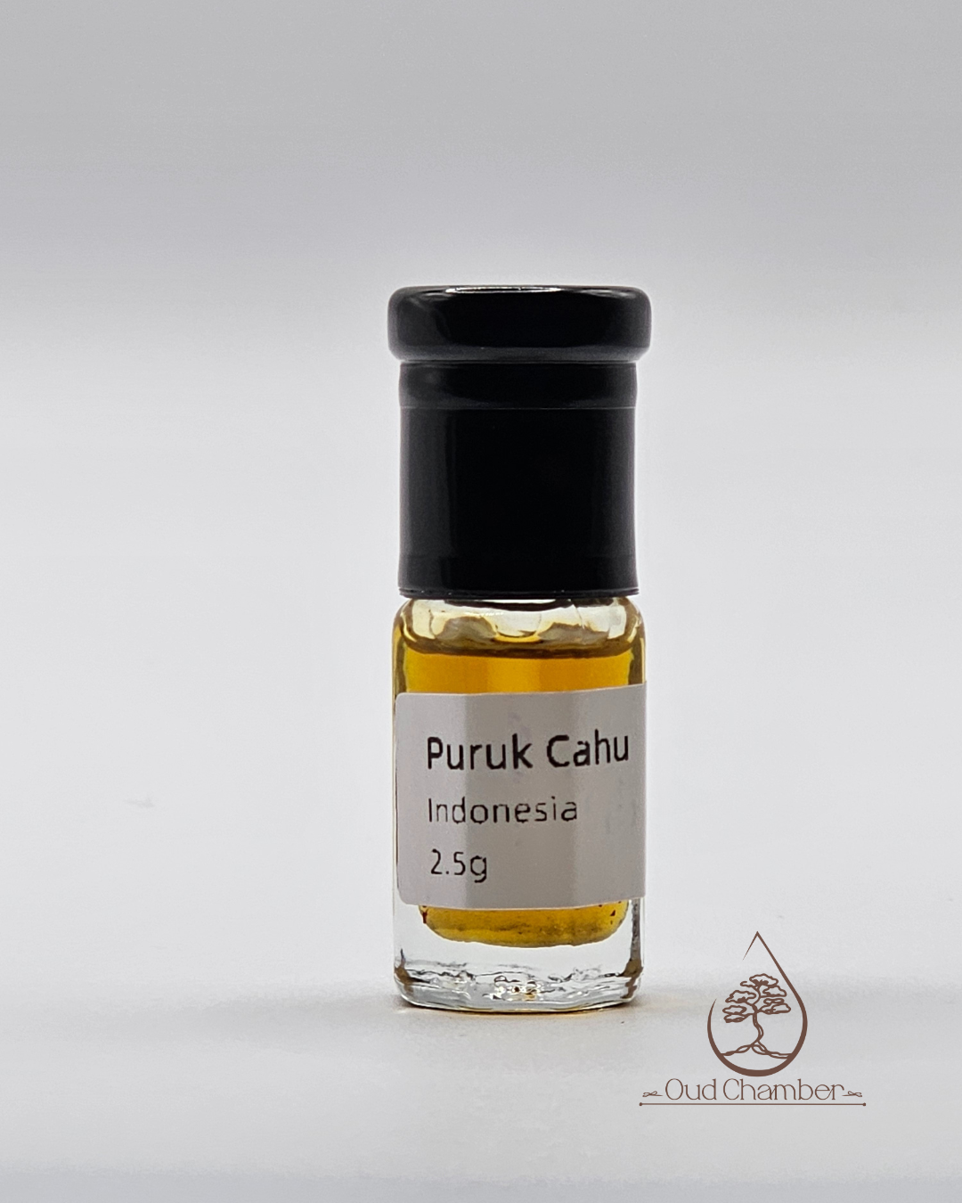 Puruk Cahu Oud