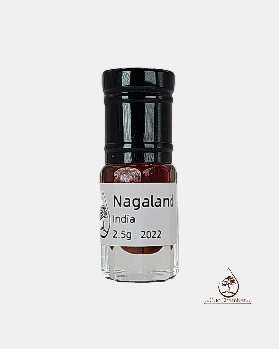 Nagaland Oud 2022
