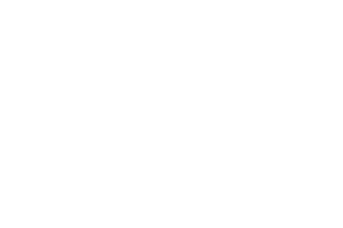 Website Graphics.png