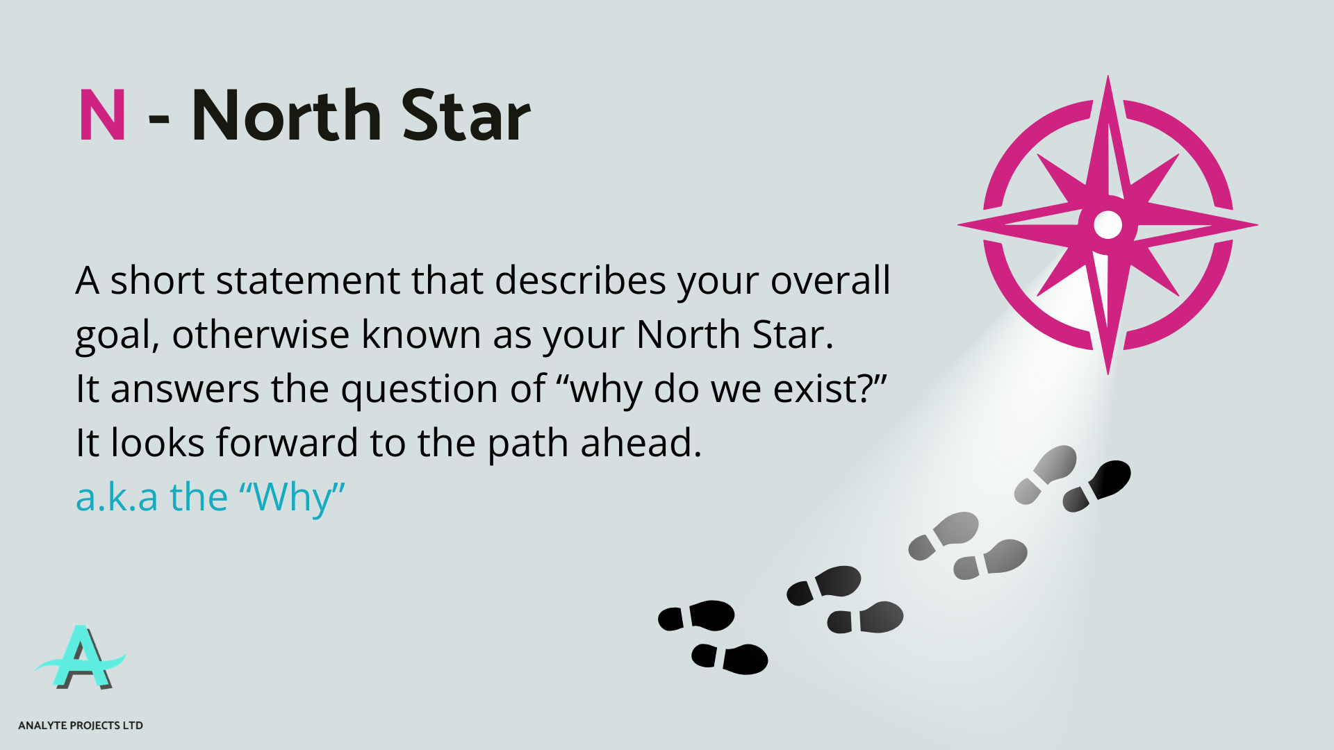 Slide explaining the North Star element