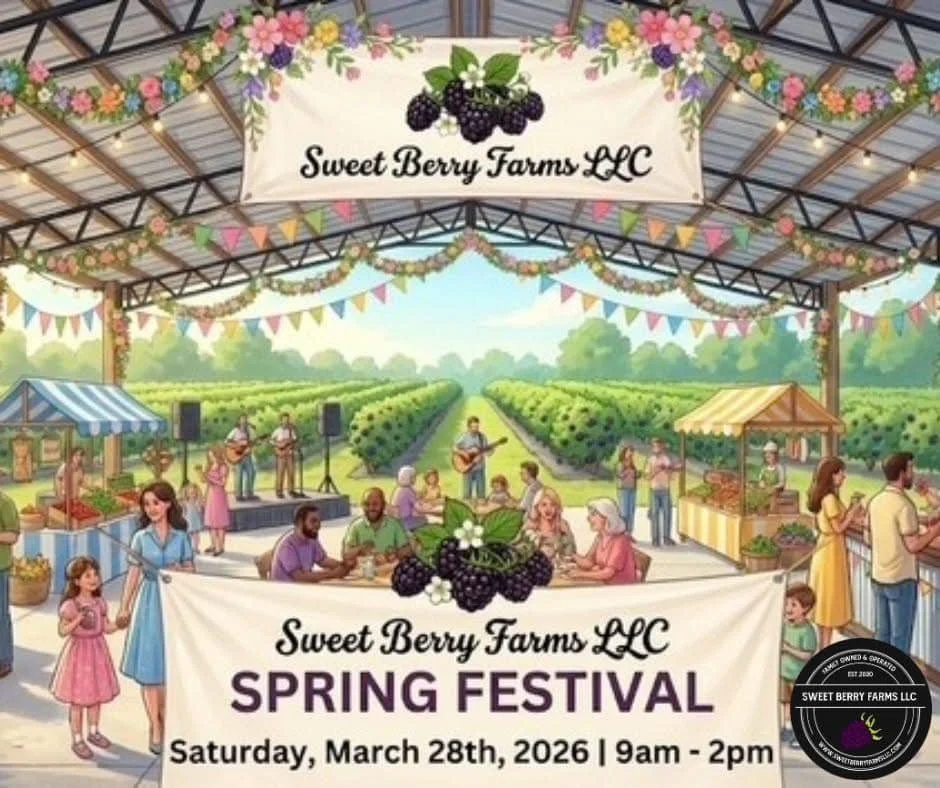An outdoor spring festival at Sweet Berry Farms LLC with colorful banners, flowers, and a stage where musicians are performing. People are sitting at tables, shopping at stalls, and children are playing. The background features rows of berry fields under a bright sky.