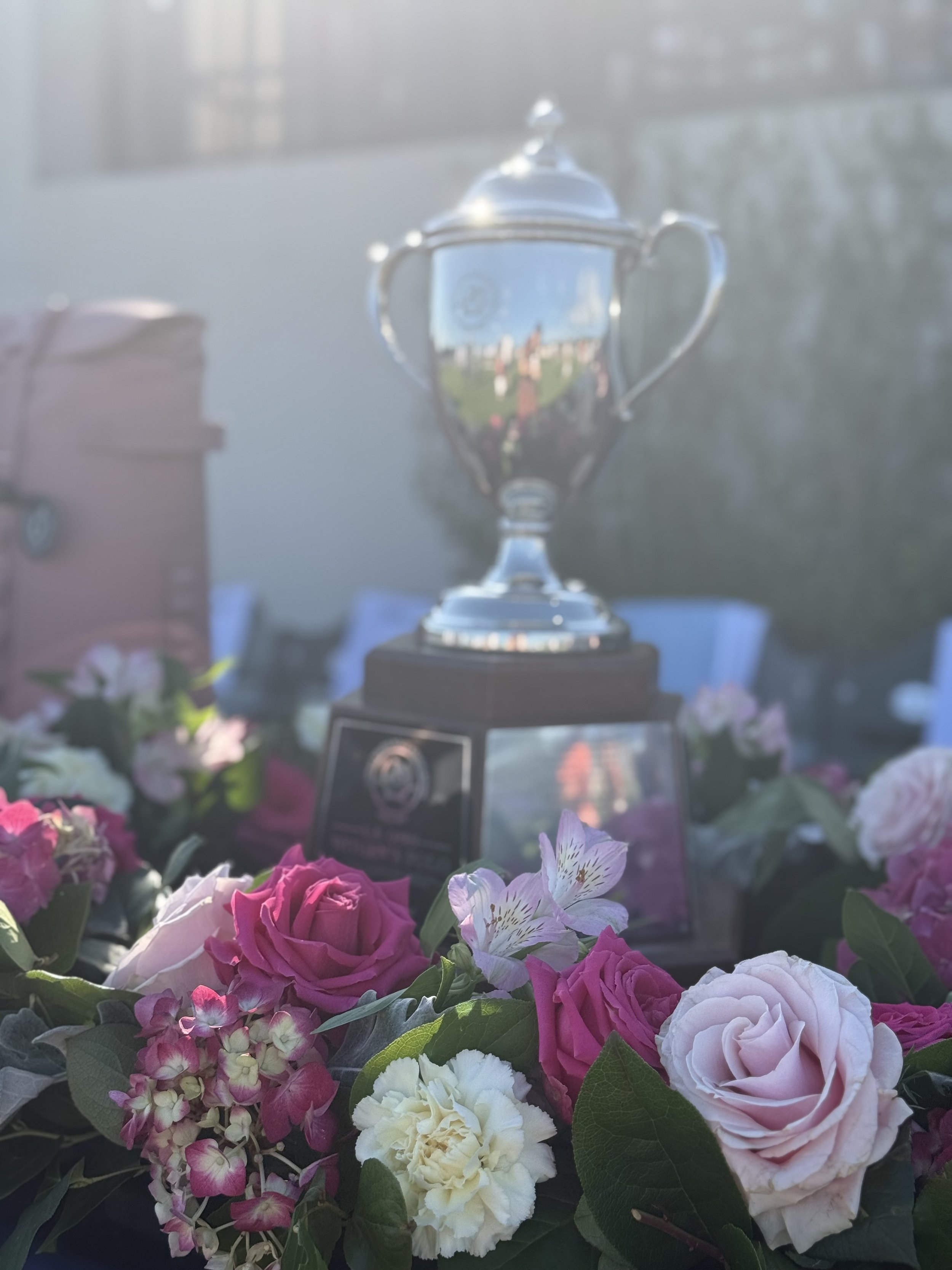 Silver trophy cup placed on a base, surrounded by pink and white flowers with green leaves, outdoors on a sunny day.