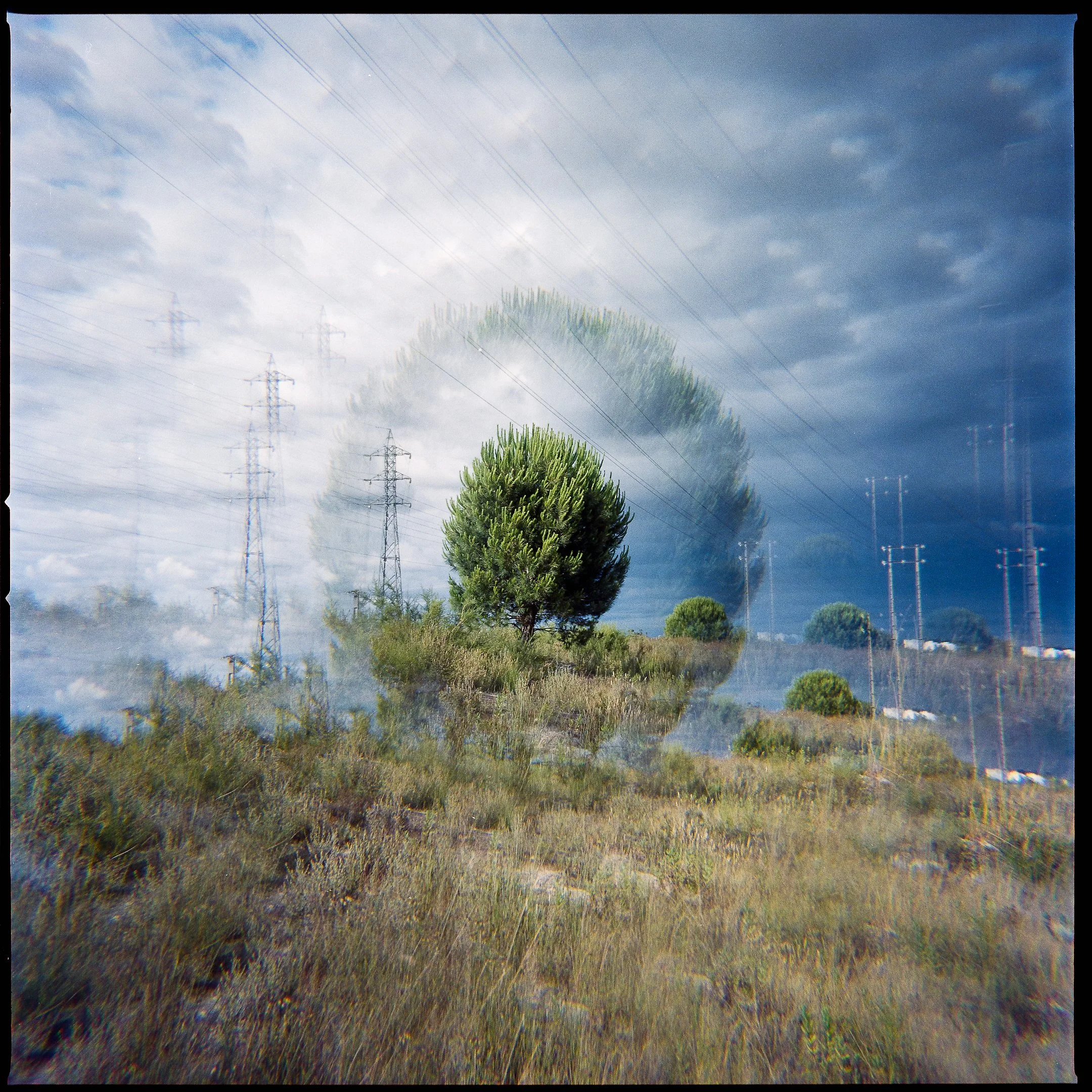 Double exposure photograph of a landscape with trees and power lines, creating a ghostly, layered effect.