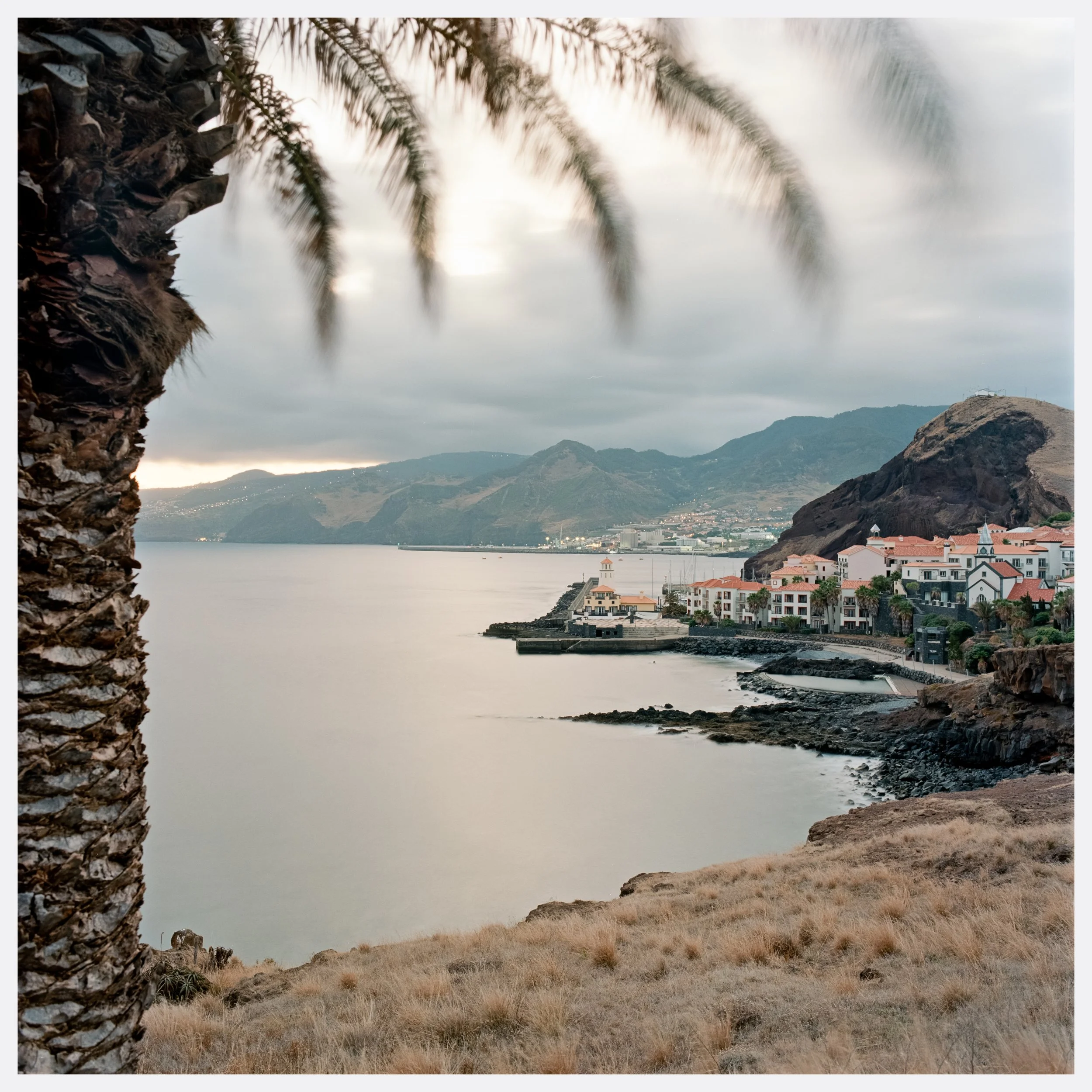 A coastal scene with a palm tree trunk and fronds in the foreground, overlooking a bay with calm water. In the distance, there are mountains and a town with white buildings and red-tiled roofs along the shoreline.