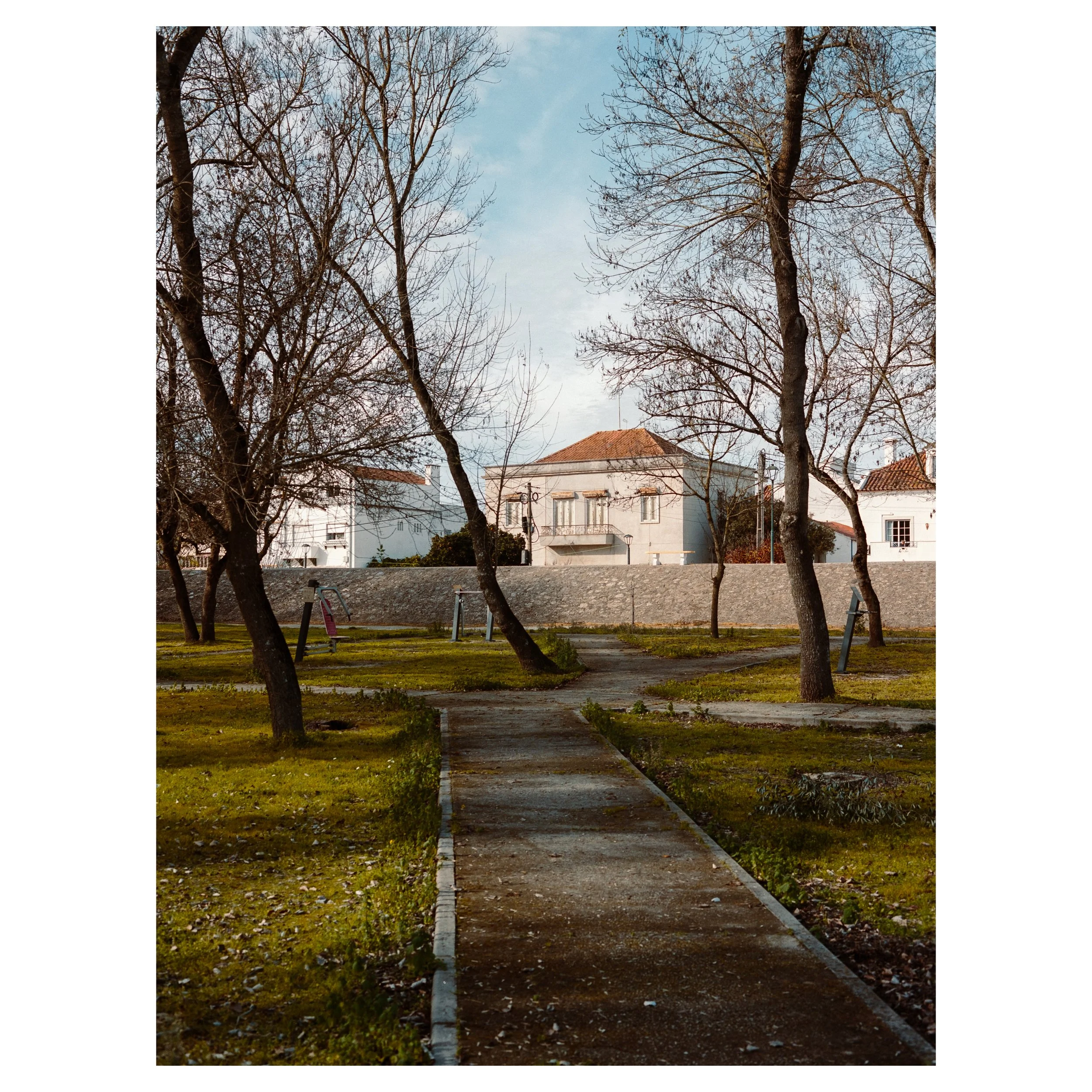 A sidewalk in a park with leafless trees, green grass patches, and a stone wall in the background, with white houses and a blue sky.