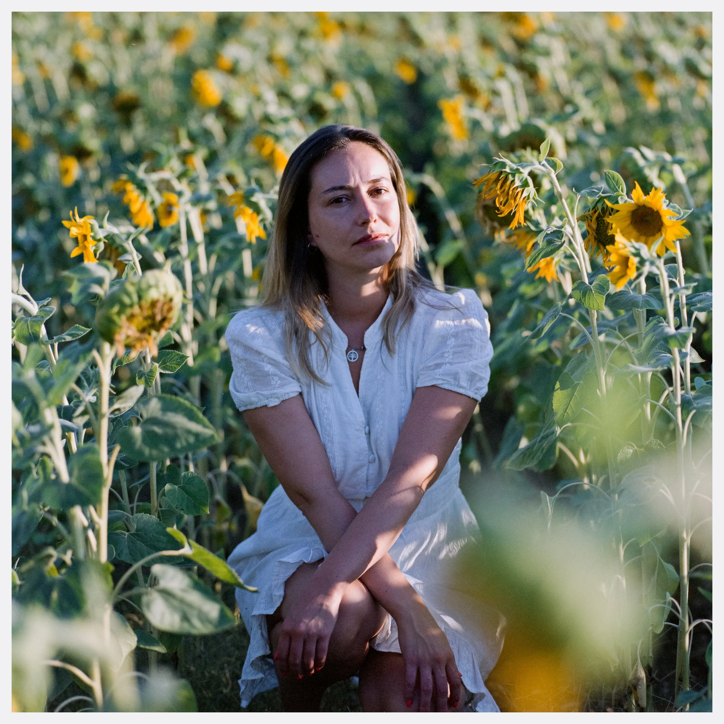 A woman in a white dress sitting among sunflower plants in a field during daylight.