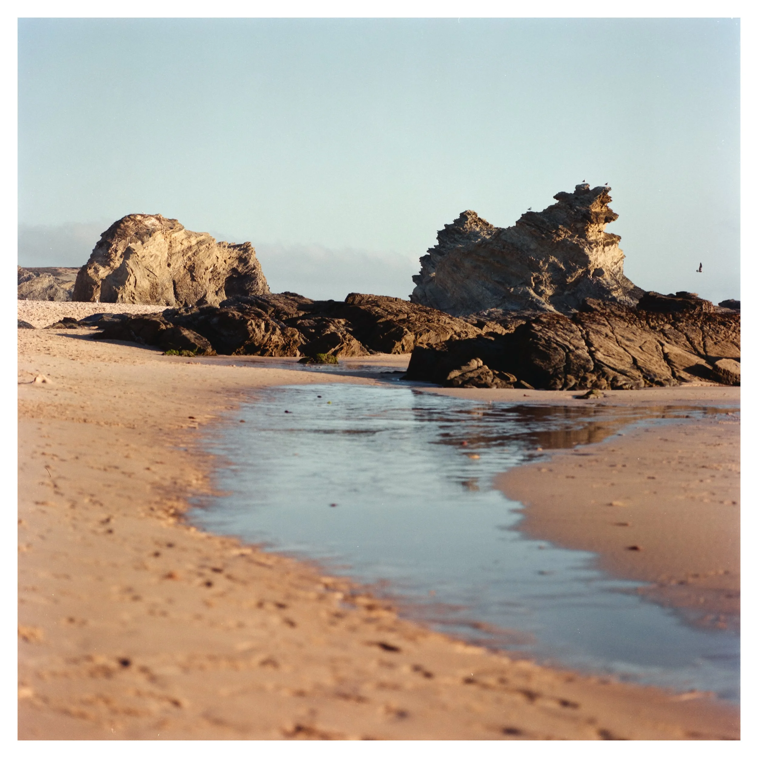 A sandy beach with a small stream of water running through it, large rocks in the background, and seagulls flying in the sky.