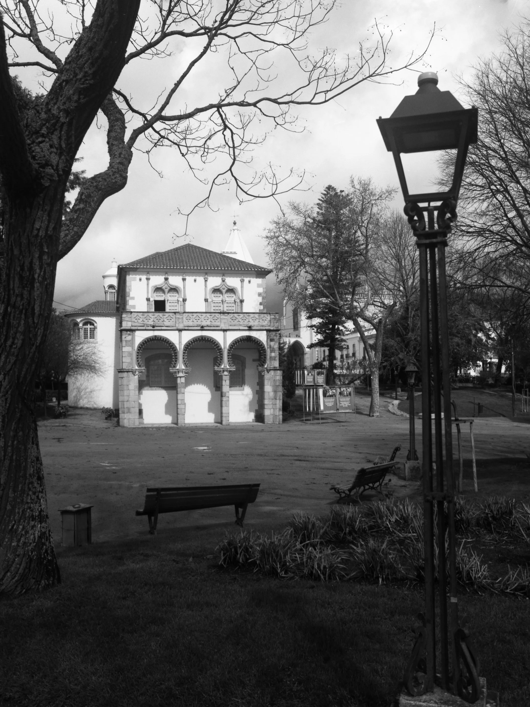A black and white photo of a park with a historic building in the background, leafless trees, a streetlamp, benches, and a grassy area.