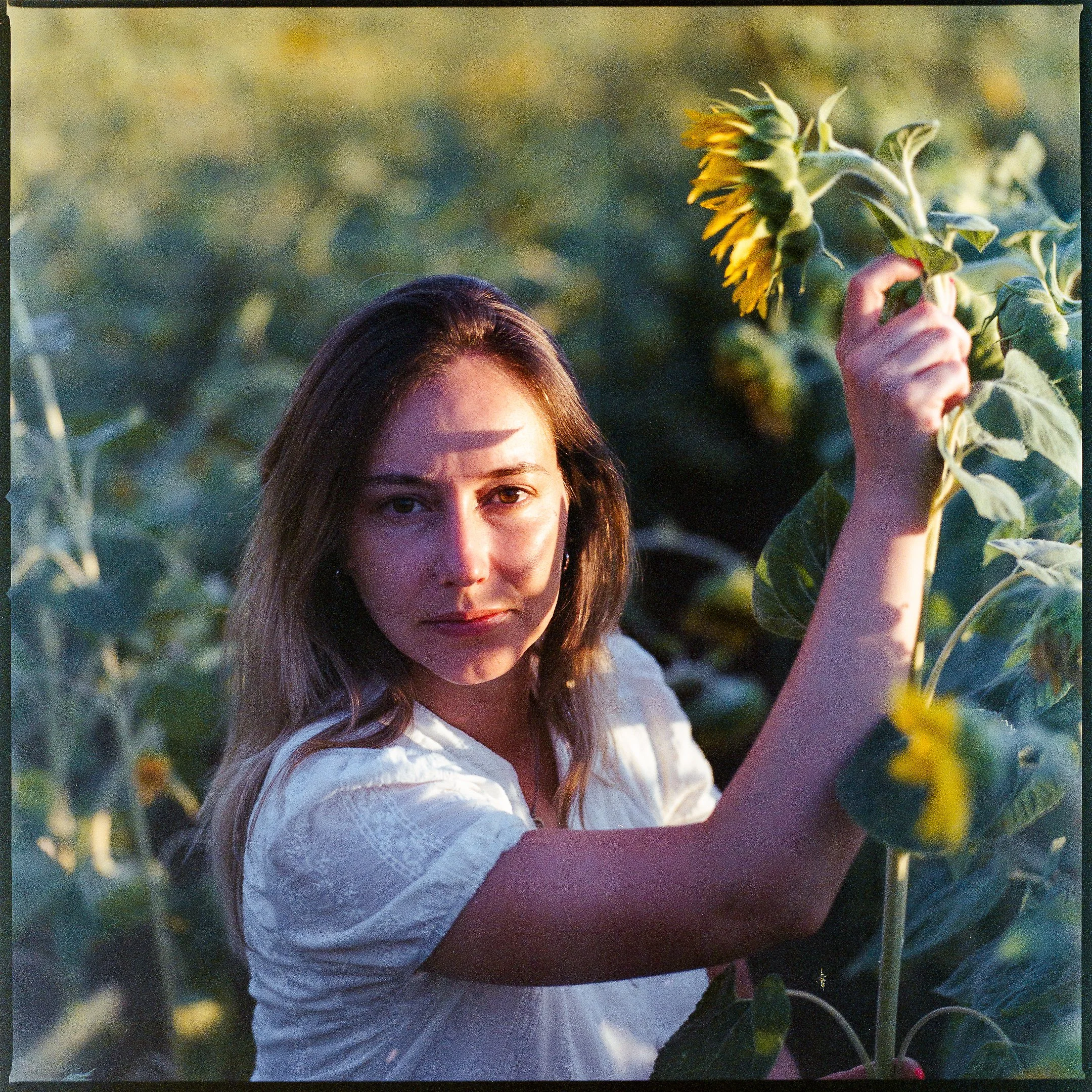 A woman with shoulder-length brown hair standing in a sunflower field, holding a sunflower with one hand, during late afternoon or evening light.
