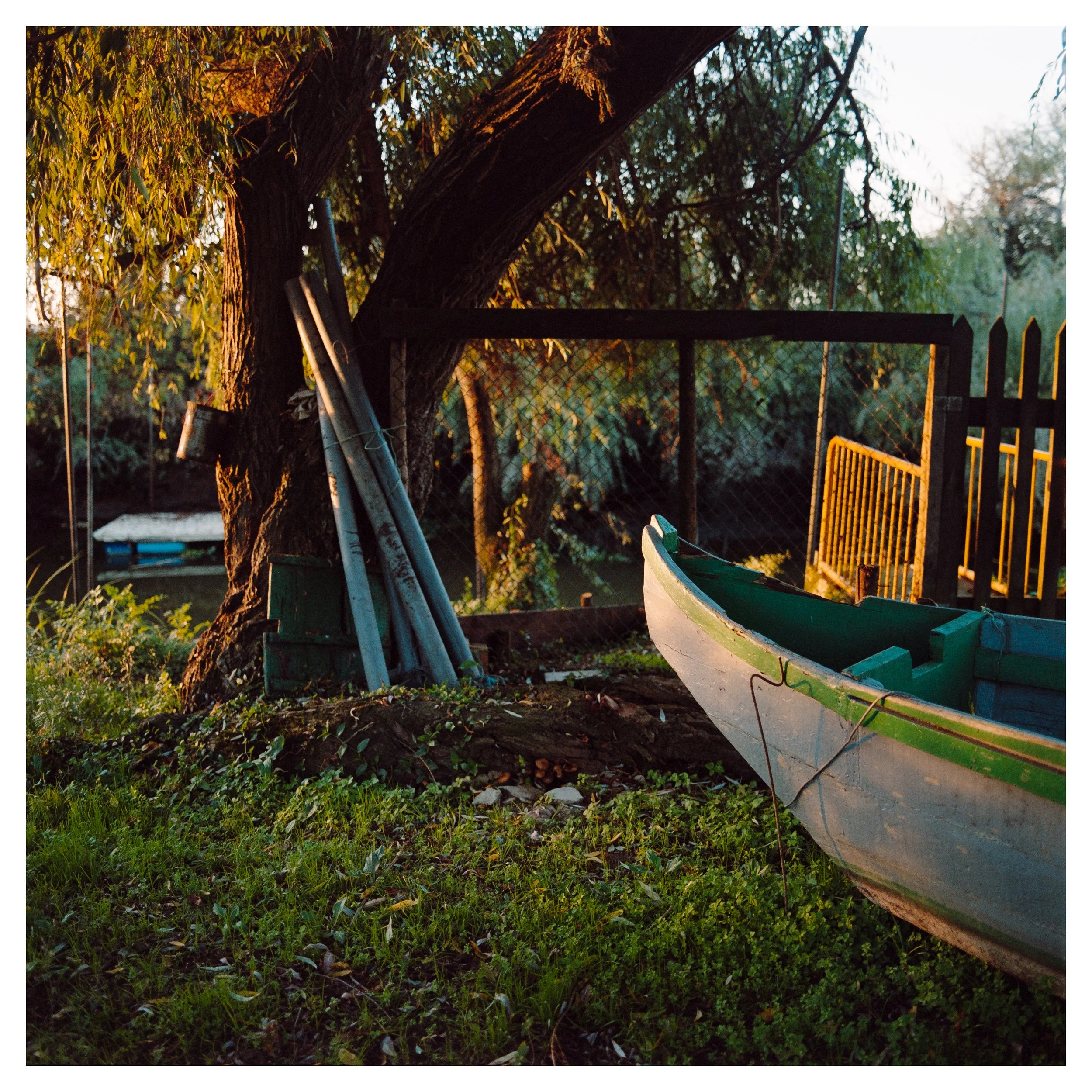 A green and white boat resting on grass beside a tree with a fence and gate in the background, illuminated by warm sunlight.