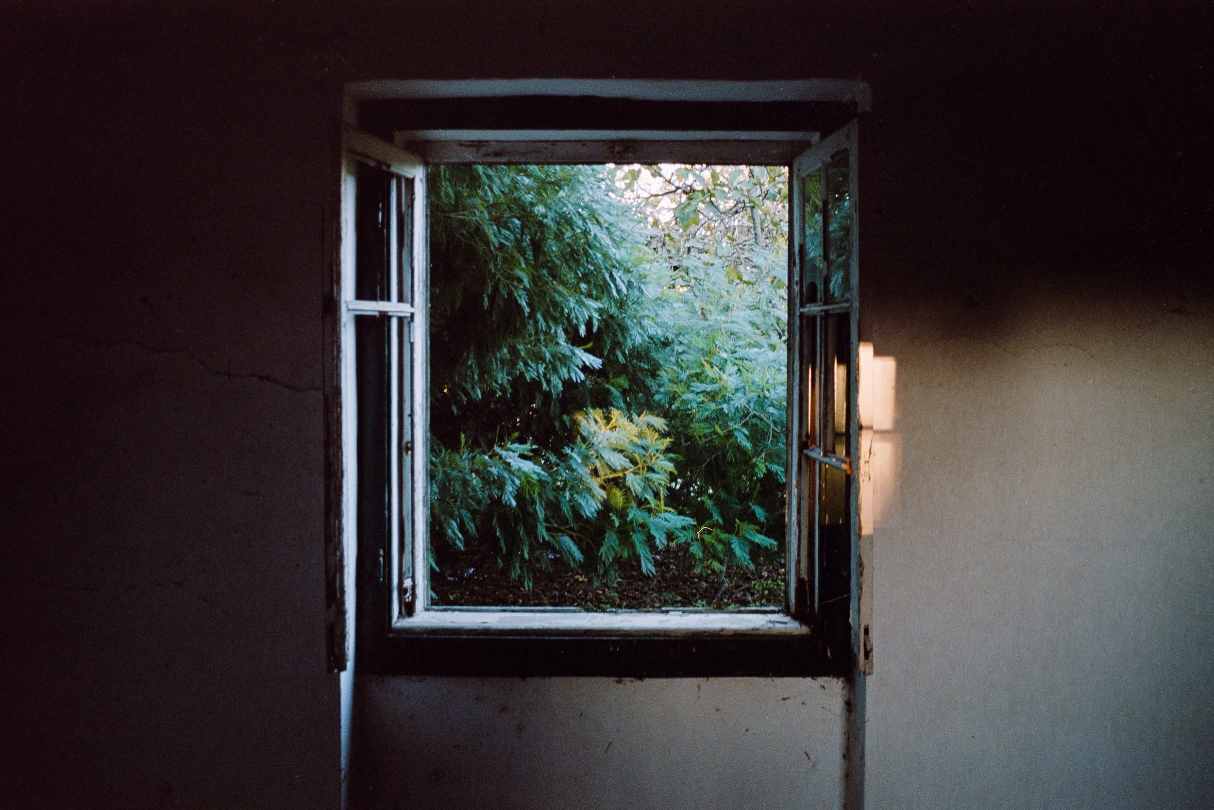 Open window with greenery outside, showing trees and plants, in a dark room.