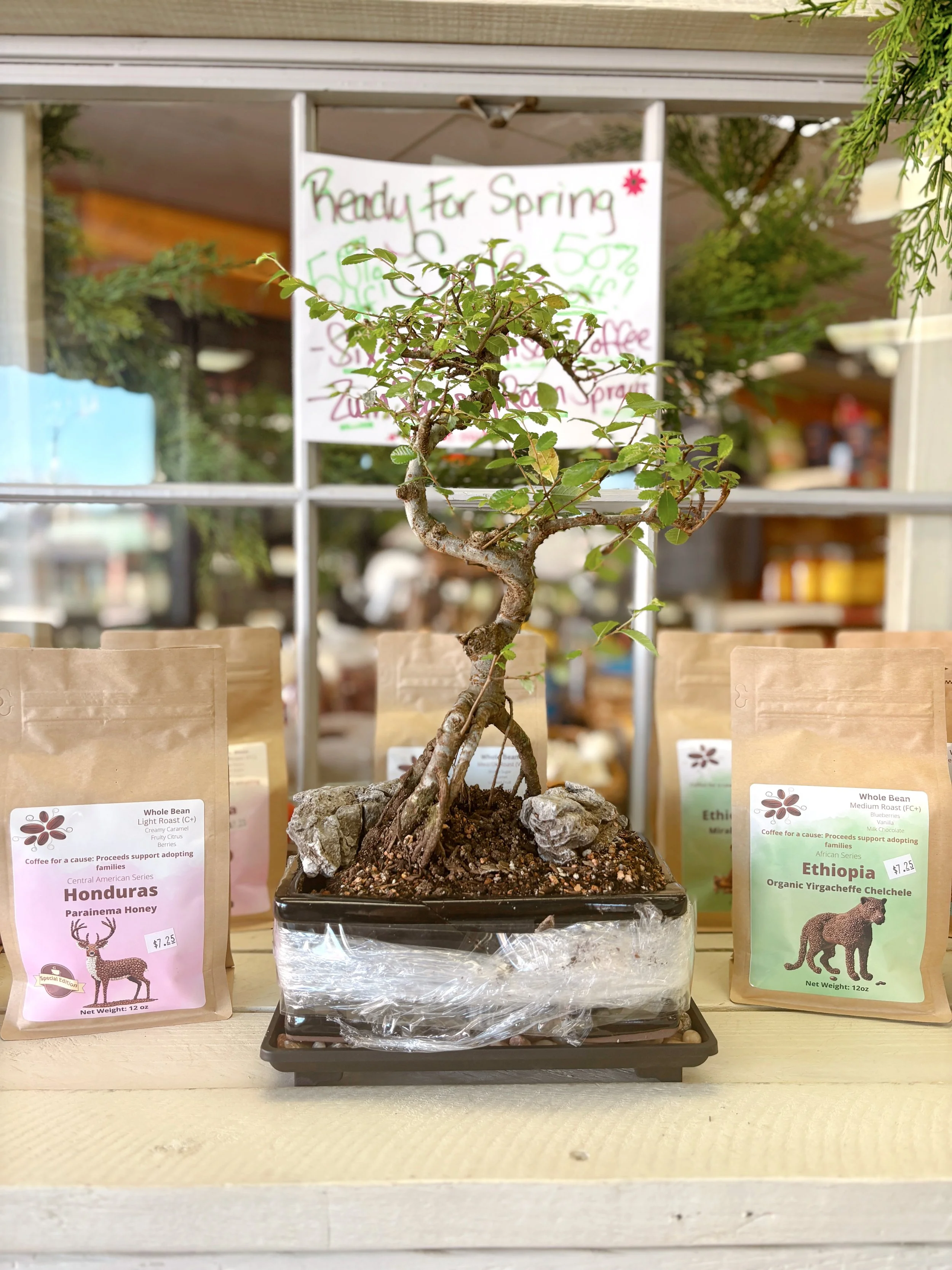 The Market Almanac - February