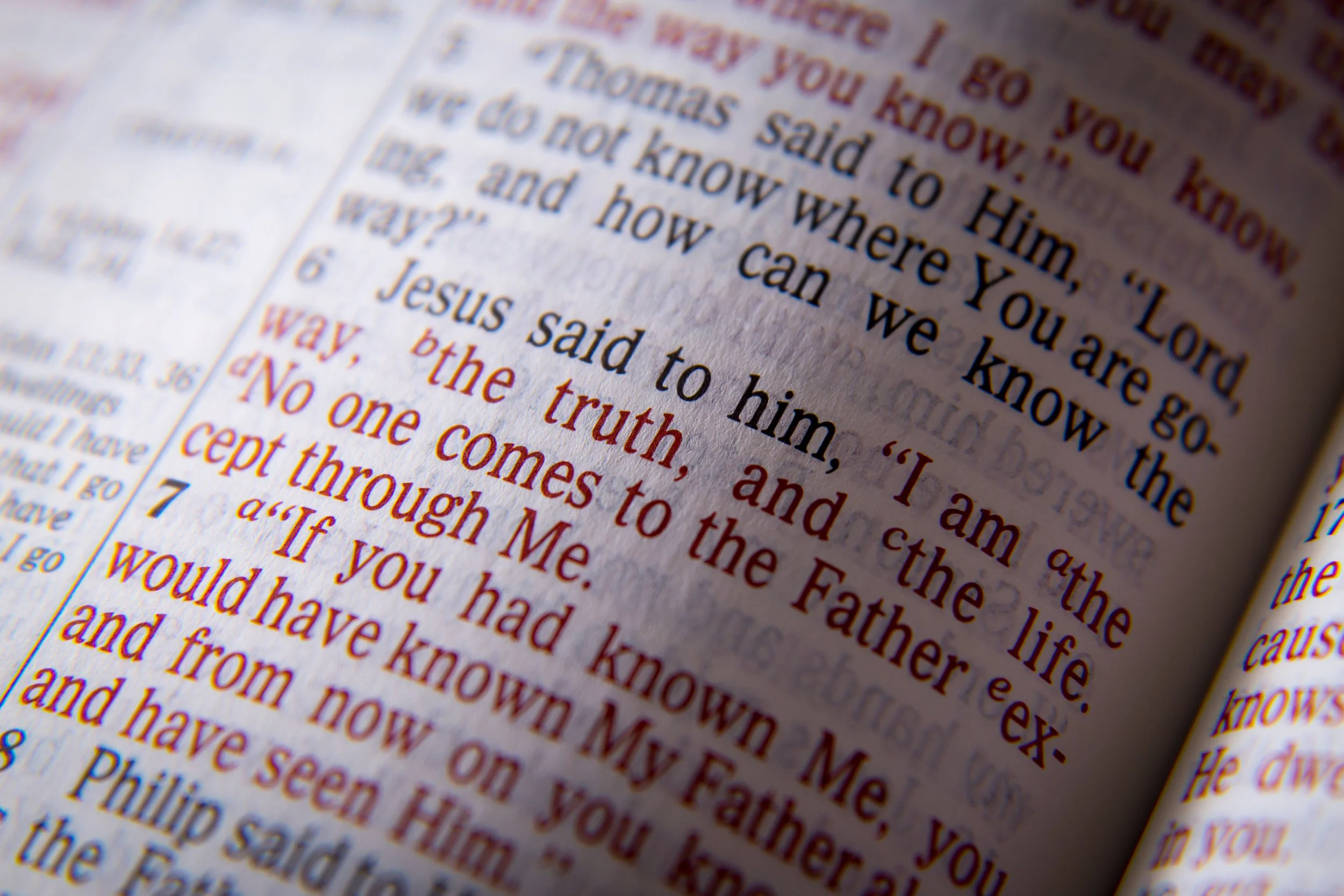 Close-up of Bible pages with text from John 8:25-28, highlighting words in different colors.