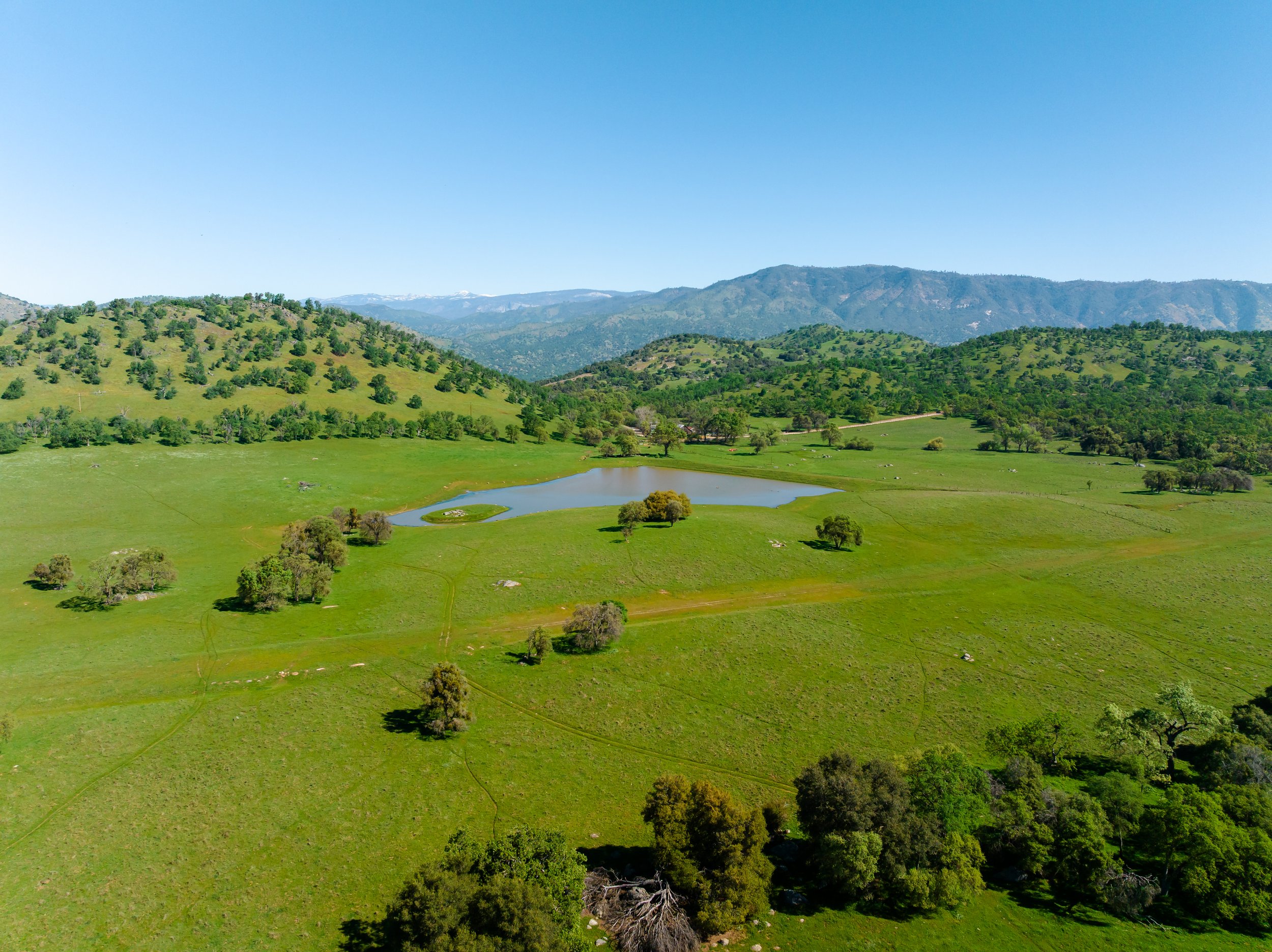 IO Angus ranch land featuring rolling hills, pond, and mountain views.