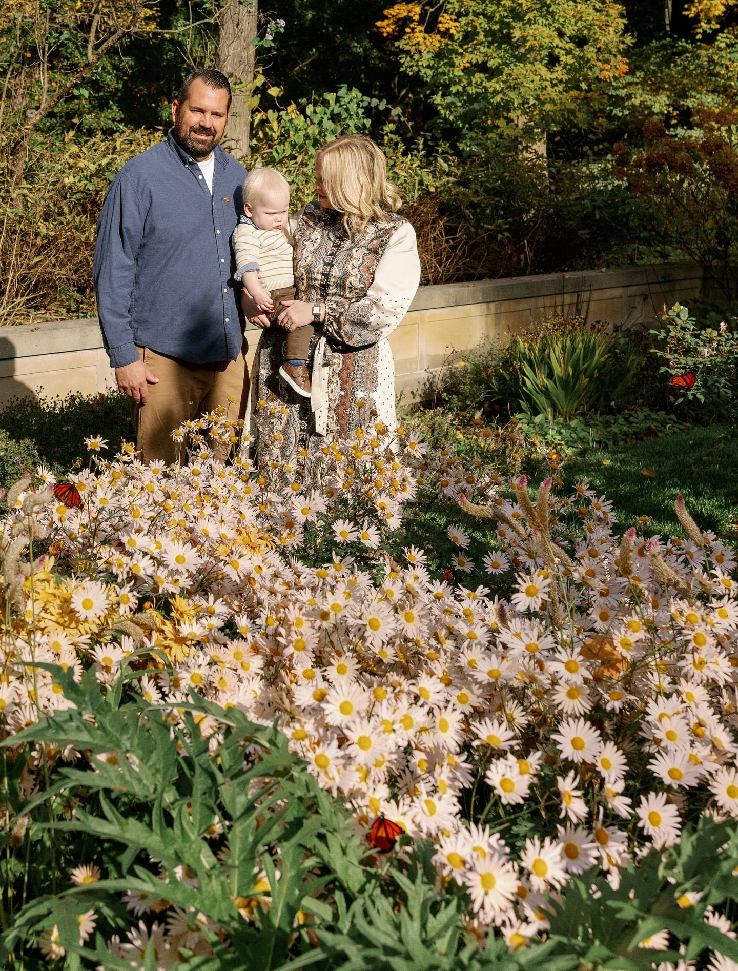 Butterflies were paid actors 🦋🦋🦋