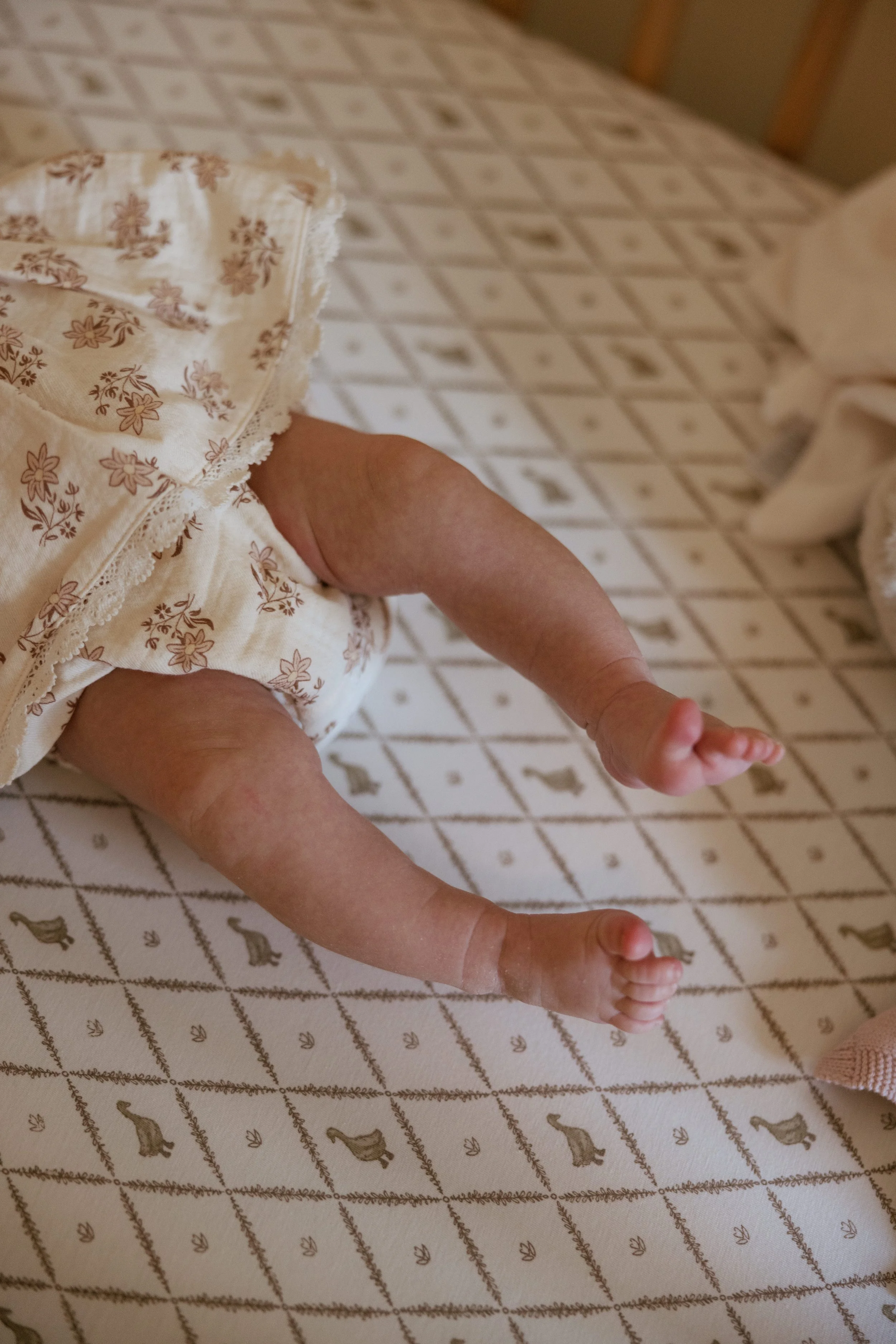 kelsey-bauchle-photo-backyard-newborn-family1.jpg