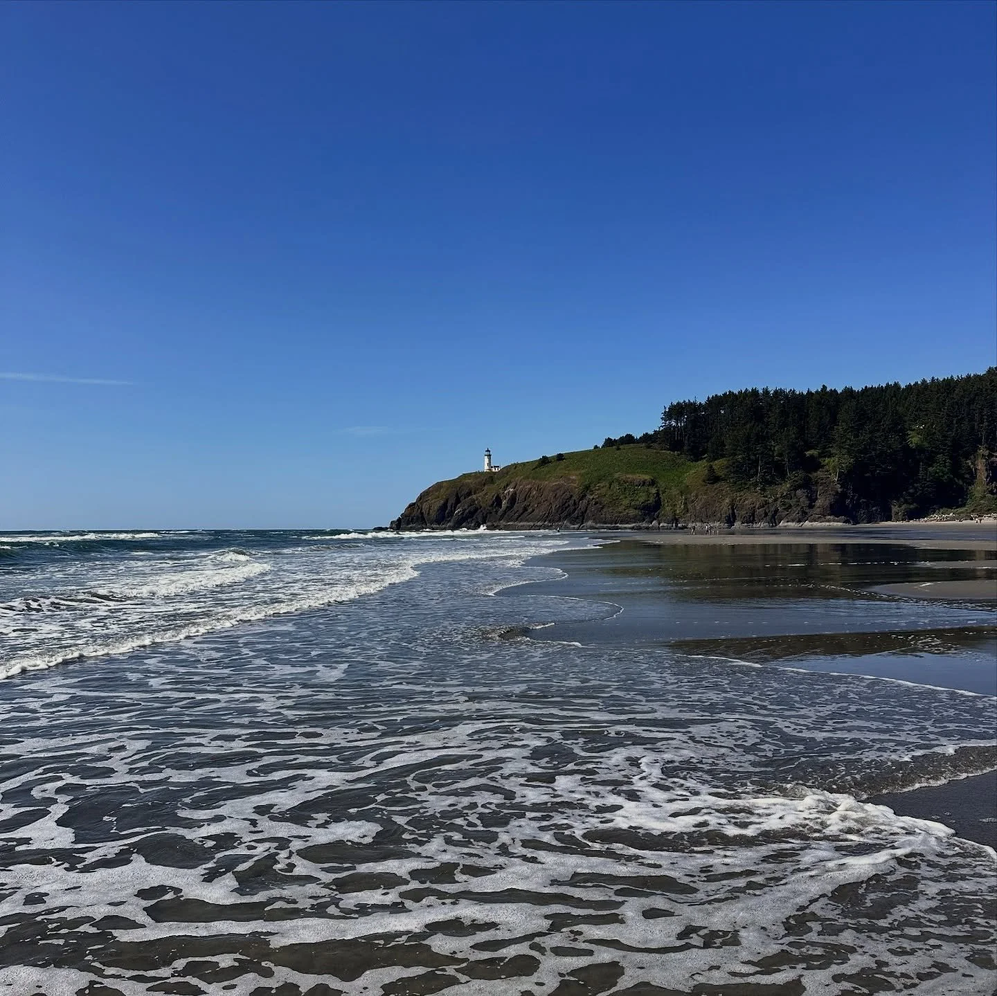 Camping Cape Disappointment with the Mendoza clan = board games, hammocks and the best food you can eat. (The khruangbin concert was ironic timing I swear)