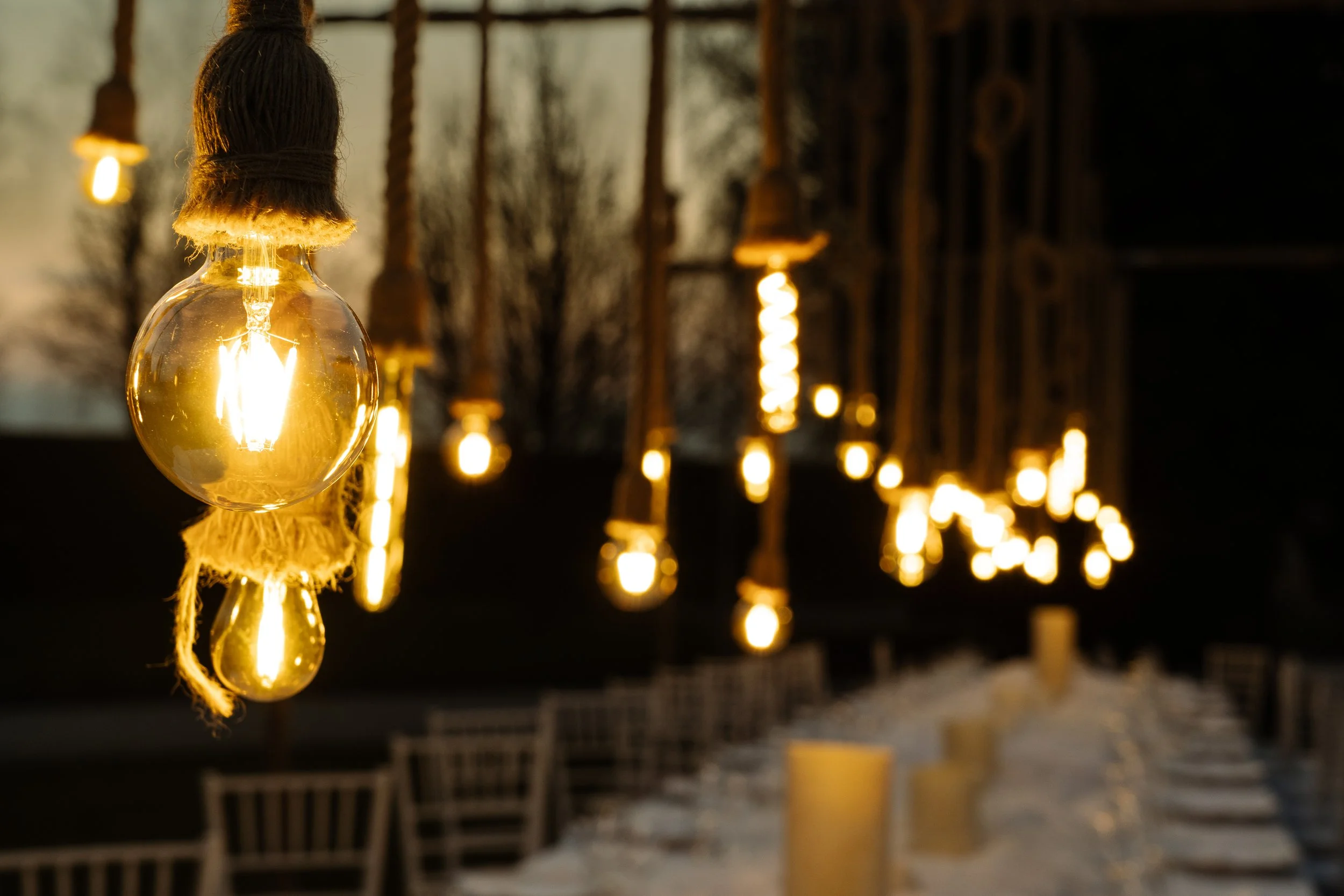 BULBS IMPERIALE (3).jpg