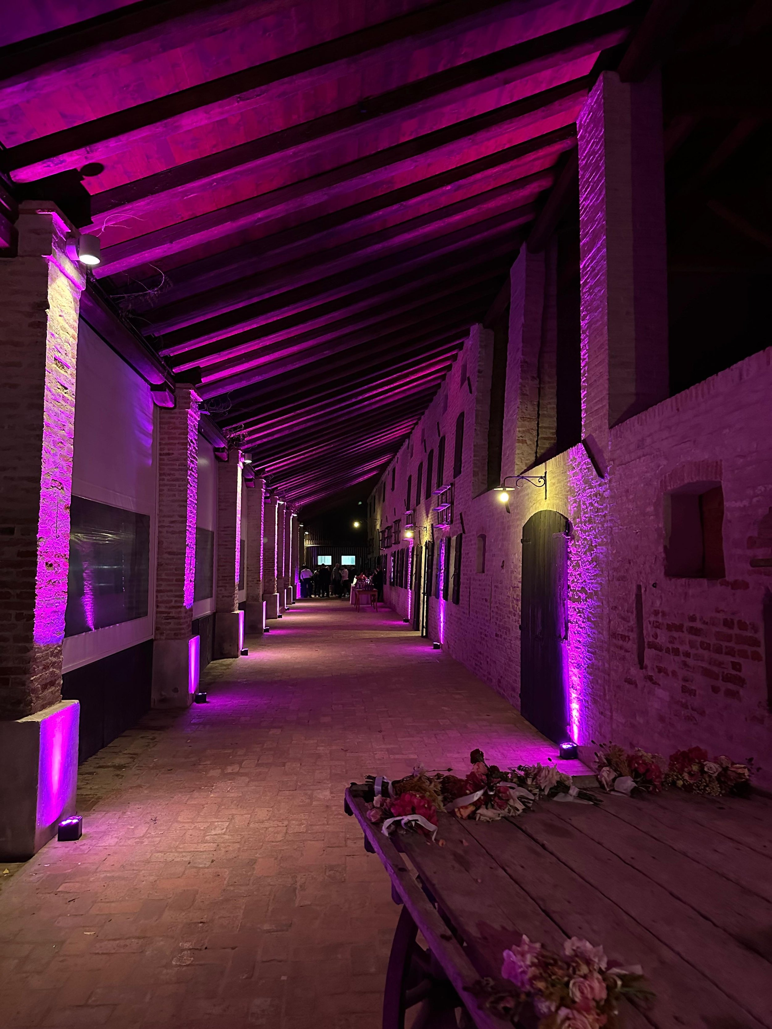 WhatsApp Image 2026-02-16 at 17.39.12.jpeg