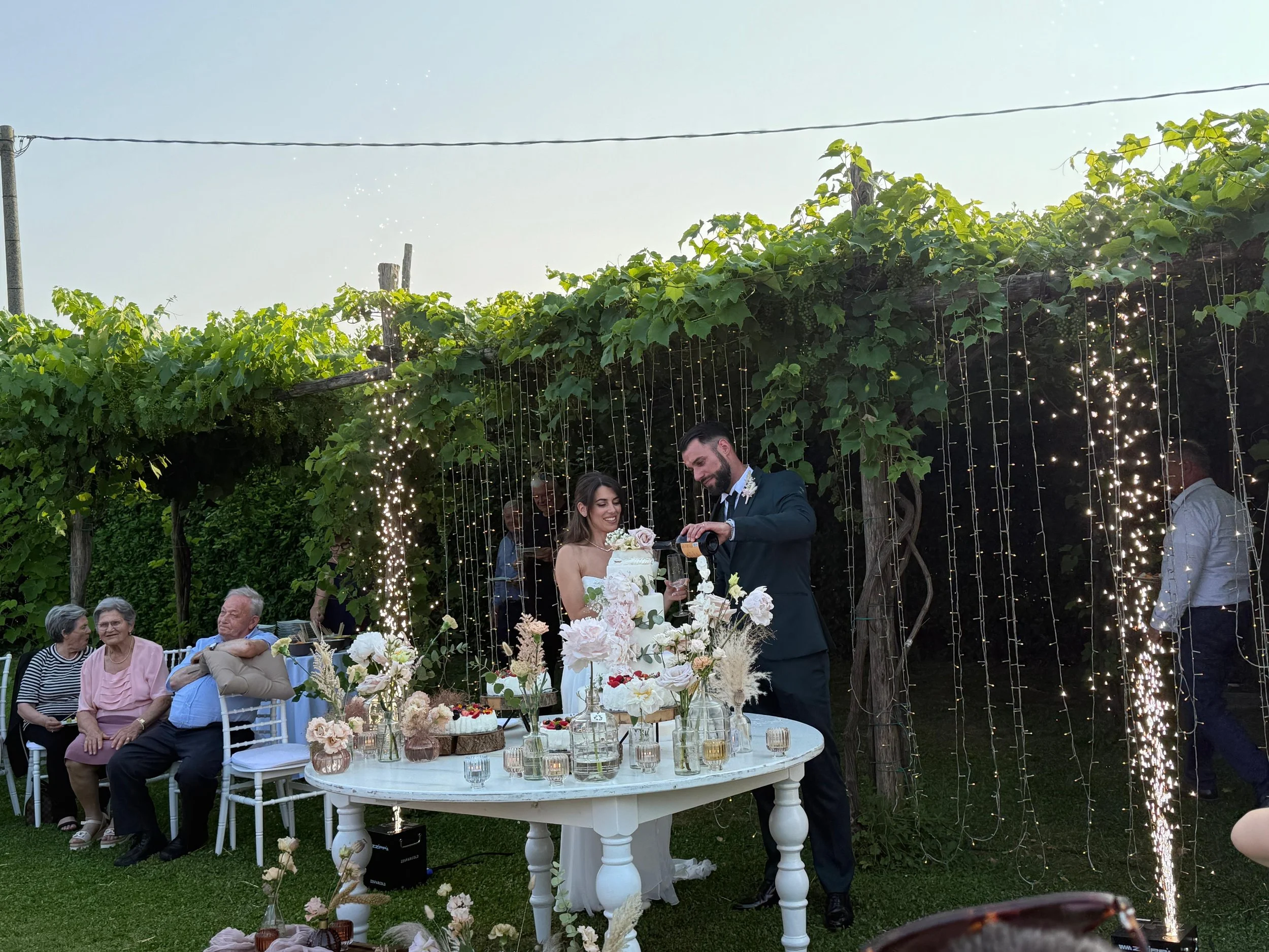 WhatsApp Image 2026-02-17 at 10.31.39.jpeg