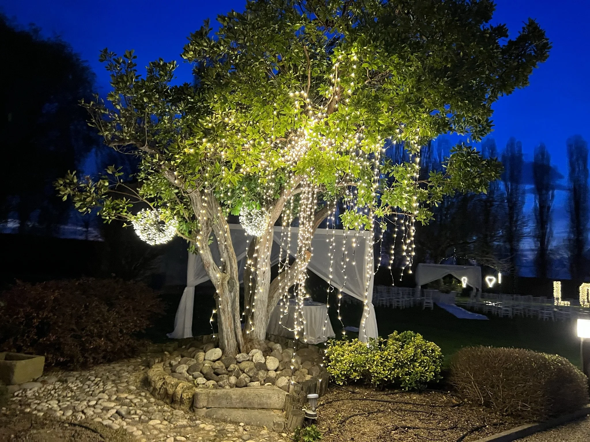 ILLUMINAZIONE ALBERO.JPEG