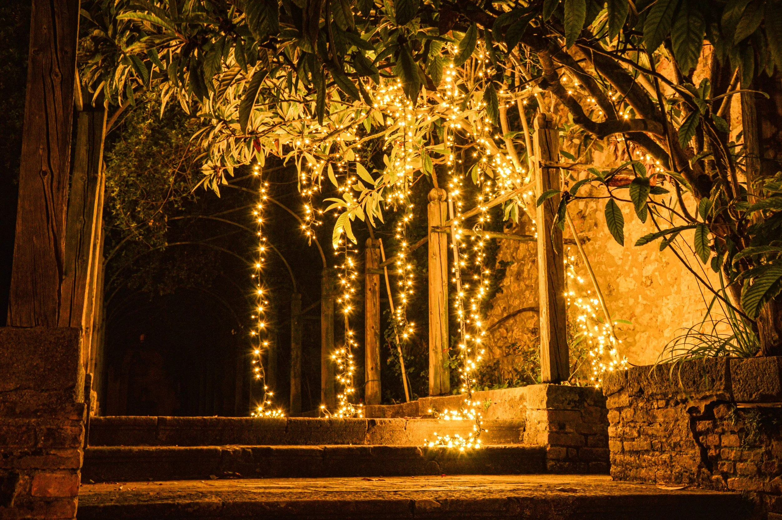 ILLUMINAZIONE ALBERO (2).jpg