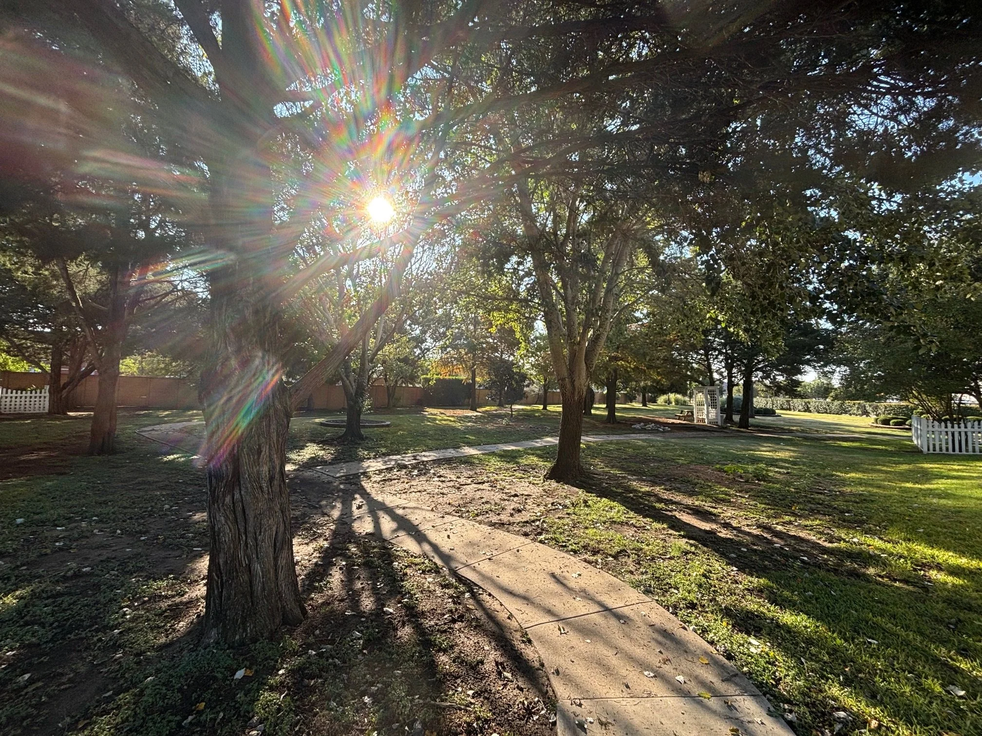 Village pathway with sunlight.jpeg
