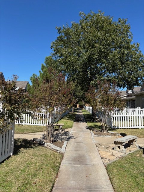 Tree-lined pathways between homes
