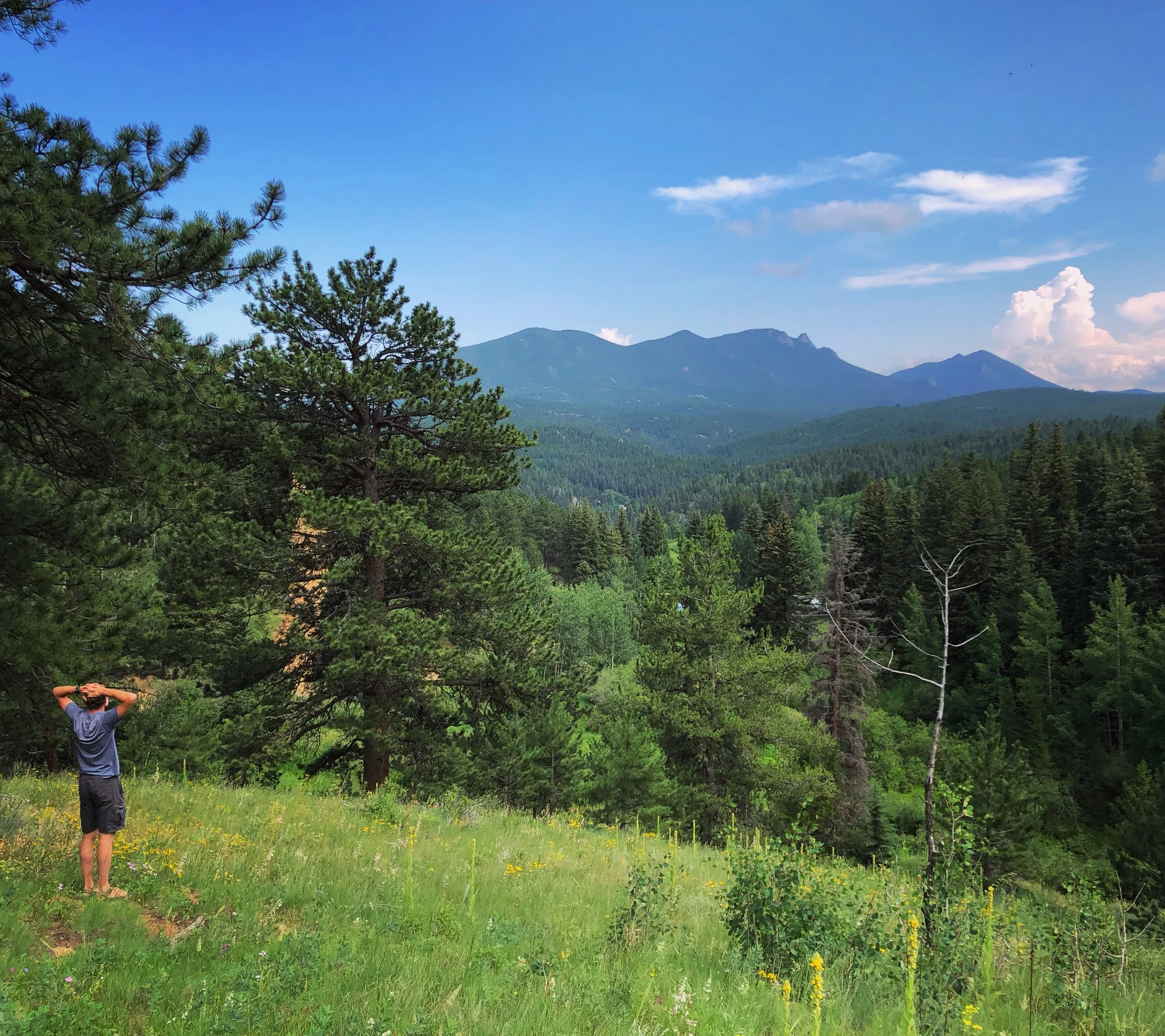 Nature and mountain views at Zen Mountain Retreat