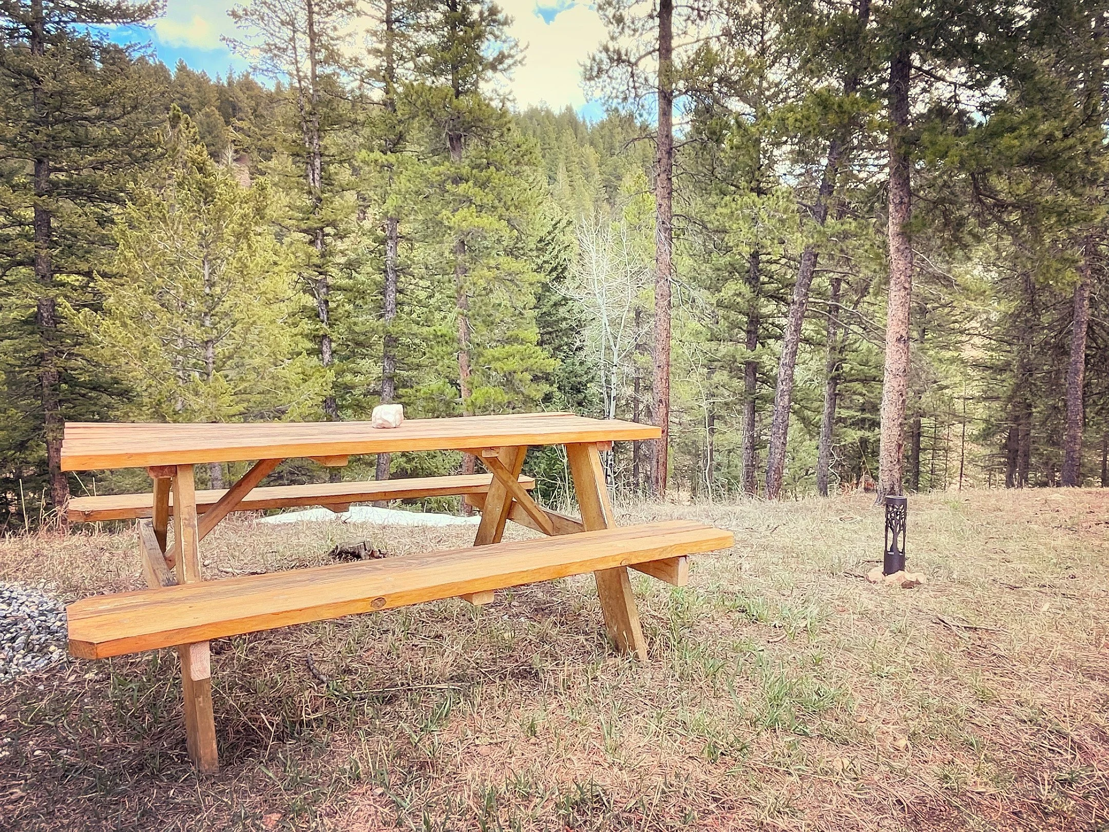 Wooden picnic table surrounded by forest at Zen Mountain