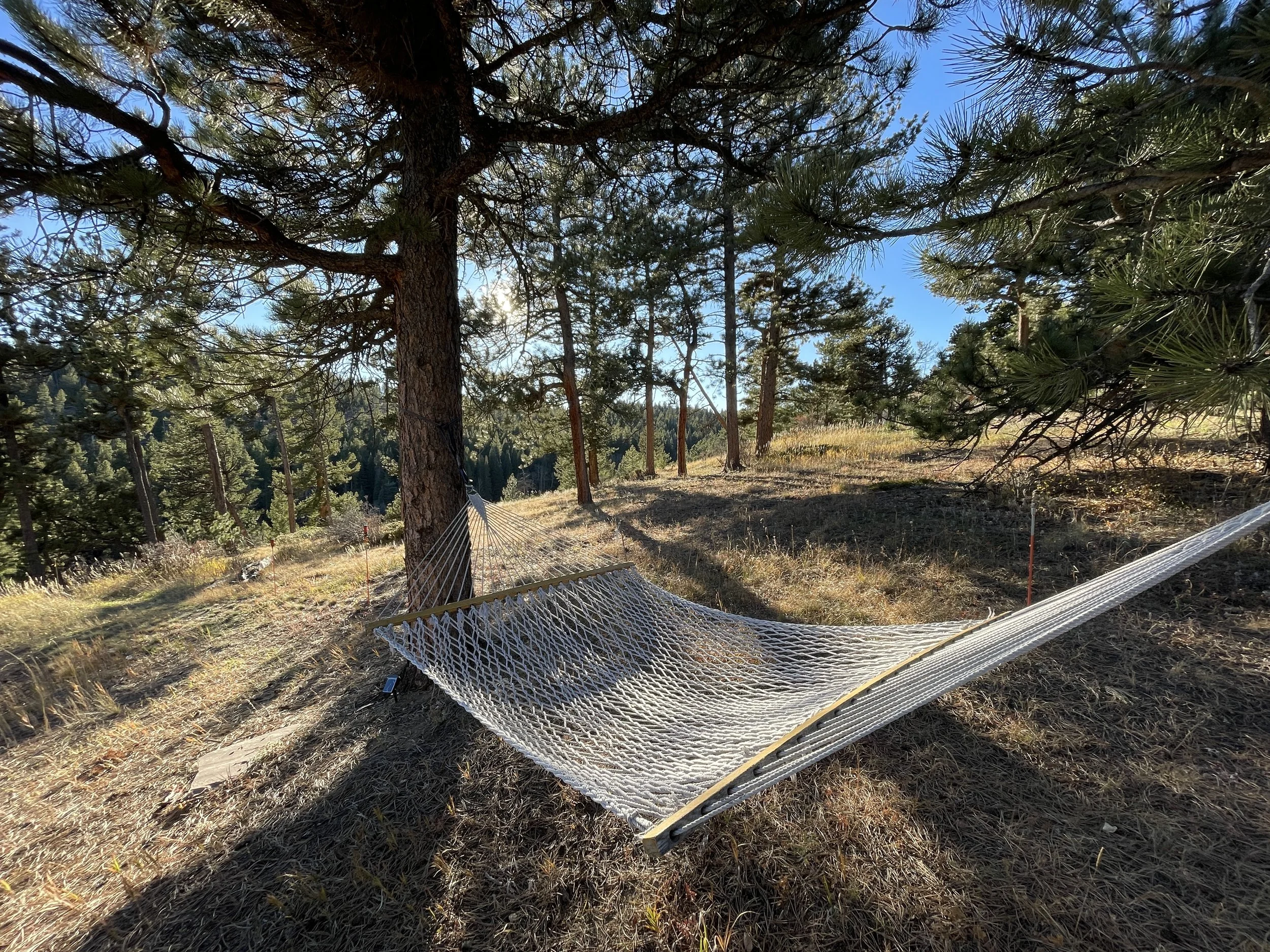 Outdoor hammock at Zen Mountain Retreat