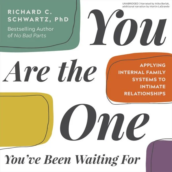 Book cover for 'You Are the One You've Been Waiting For,' by Richard C. Schwartz, PhD, with colorful abstract shapes and text highlighting the title and author.