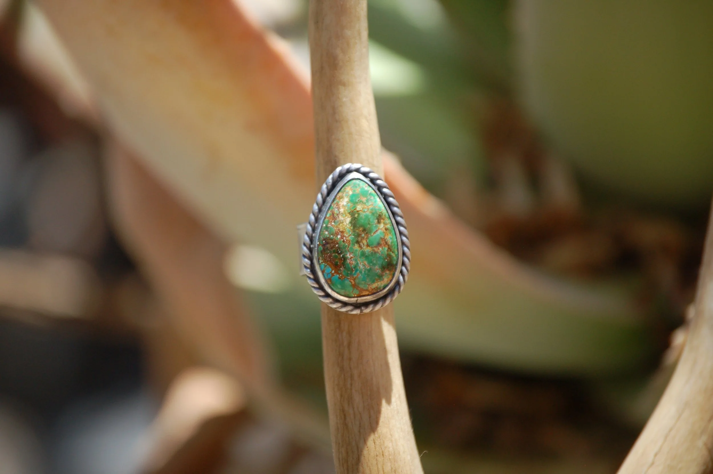 Sonoran Ring