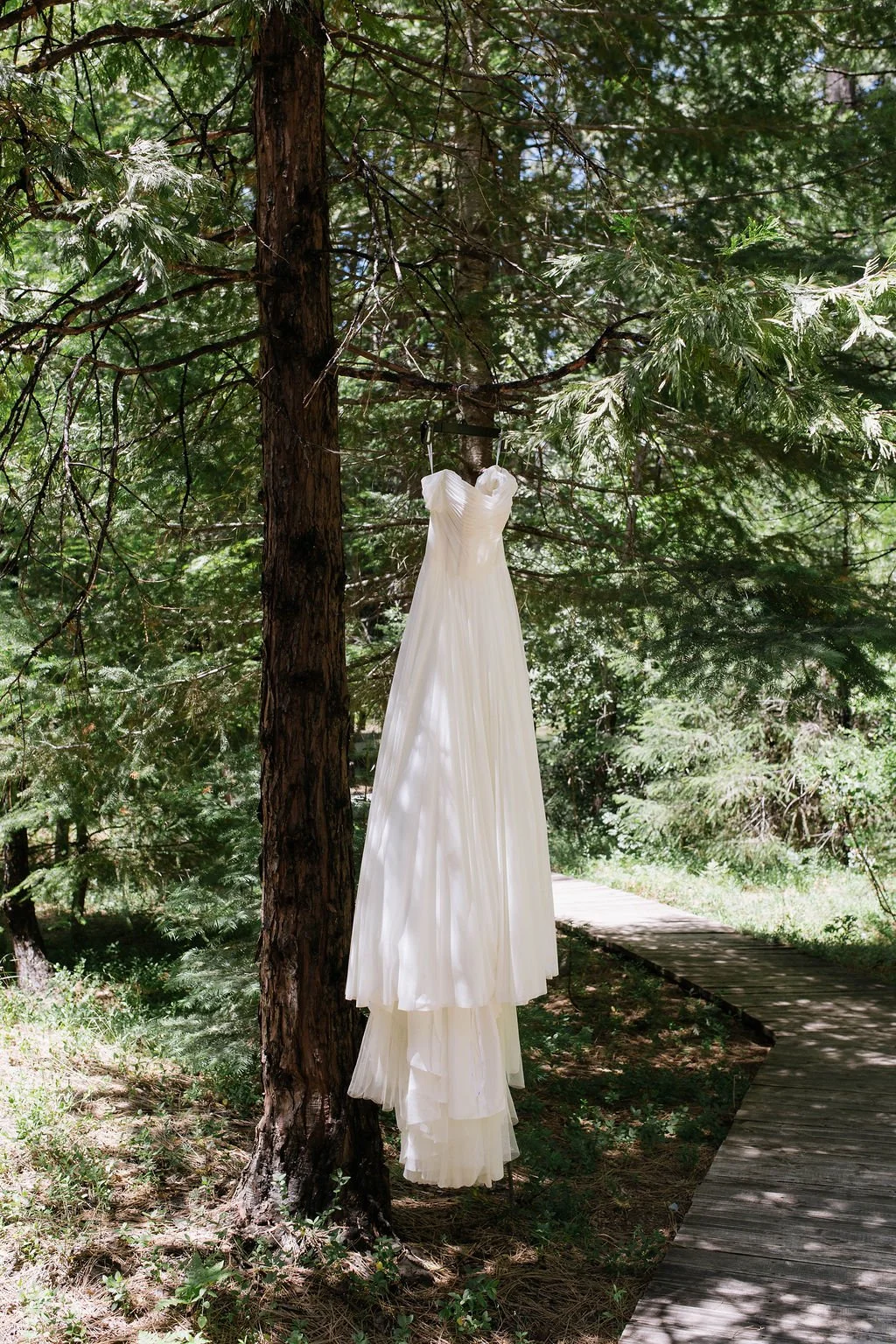 A white wedding dress hanging from a tree branch in a forested area with trees, greenery, and a wooden pathway nearby.