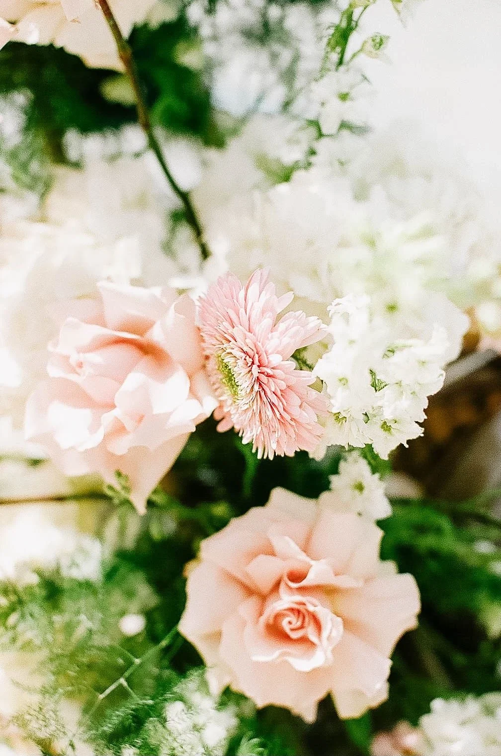 Close-up of pink and white flowers with green leaves, including roses and a daisy, in a floral arrangement