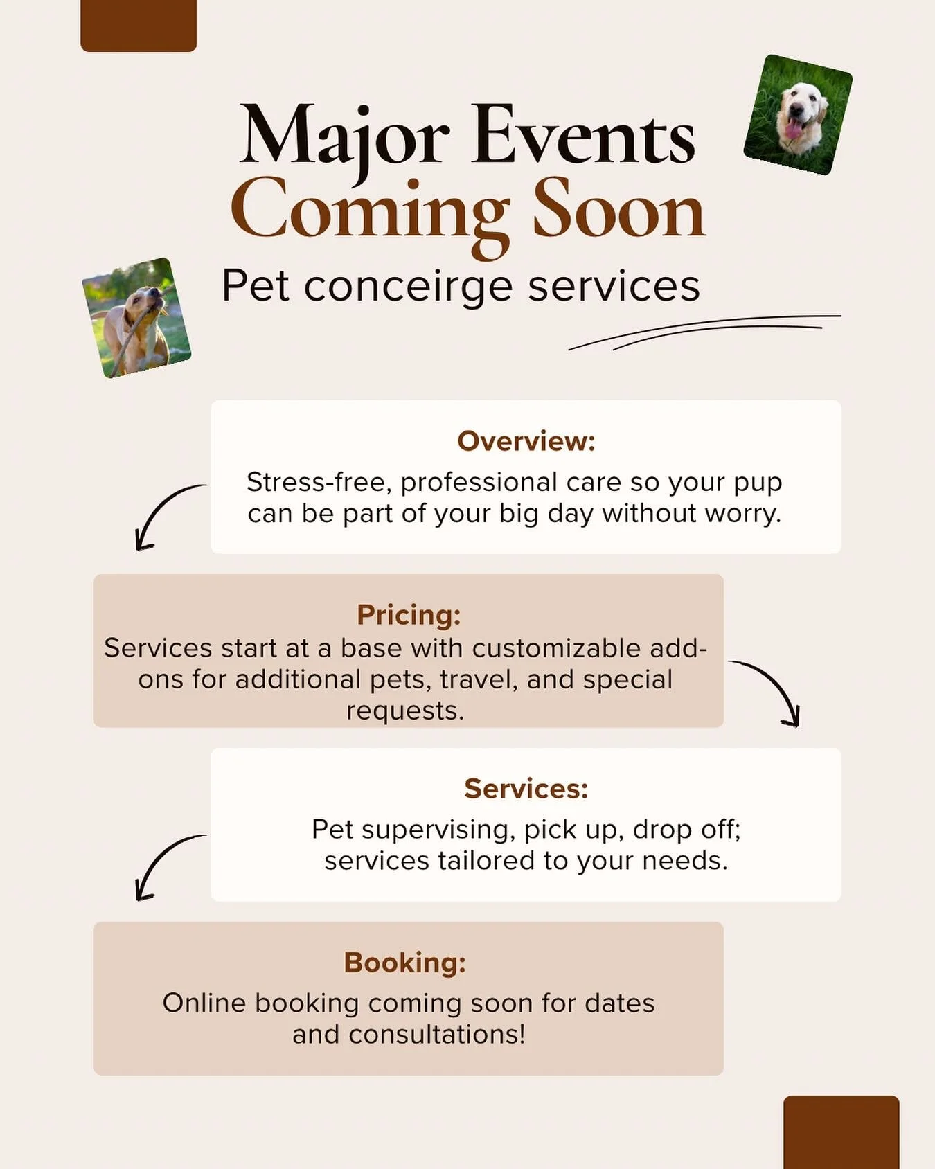 So excited to start this journey! 🐾