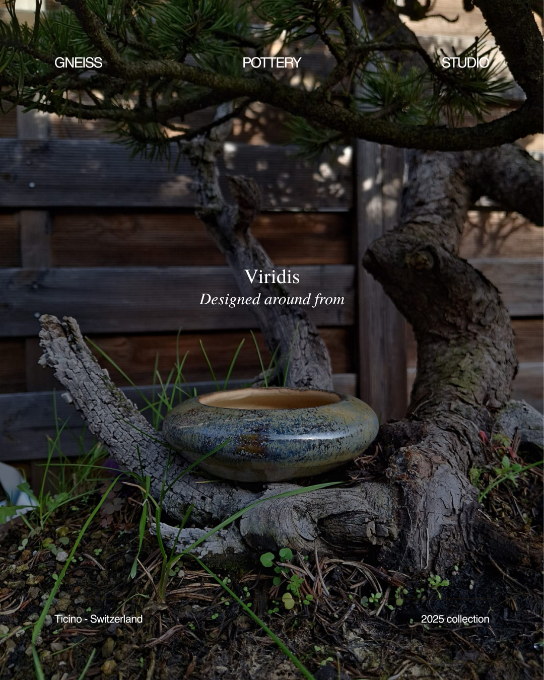 Viridis Collection- Shitakusa